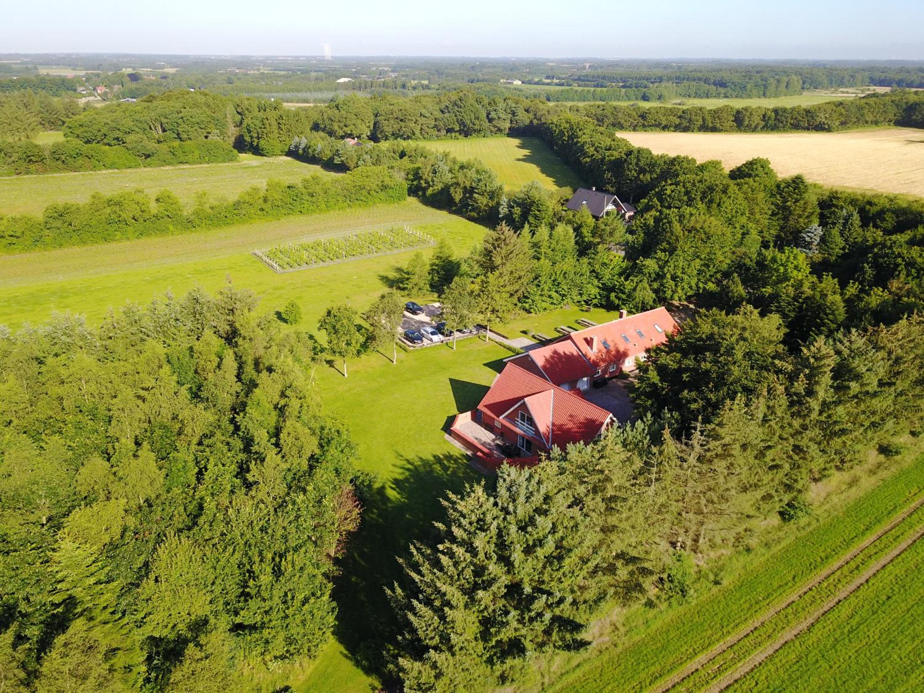Egebjerggaard Bed & Breakfast