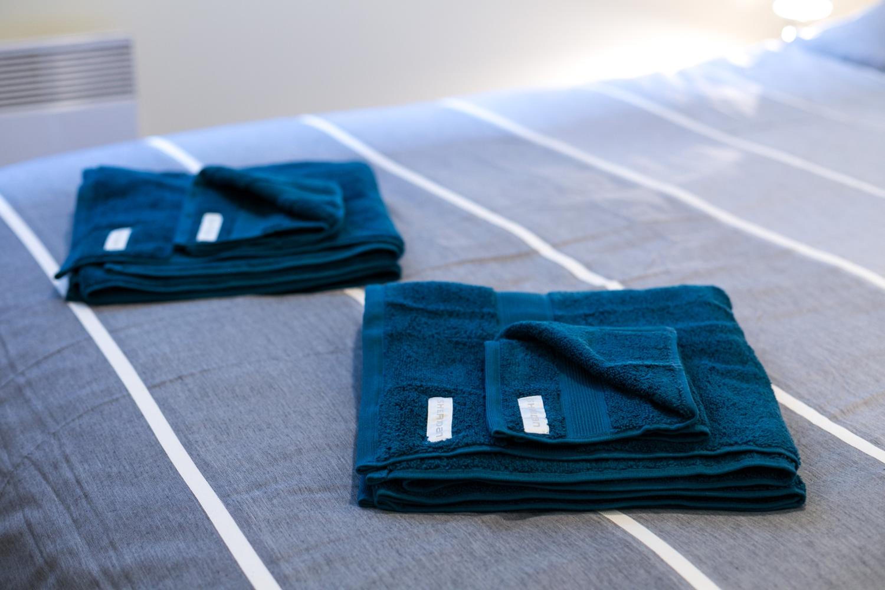 Flinders Lane Superior Studio Apartment - Image 5