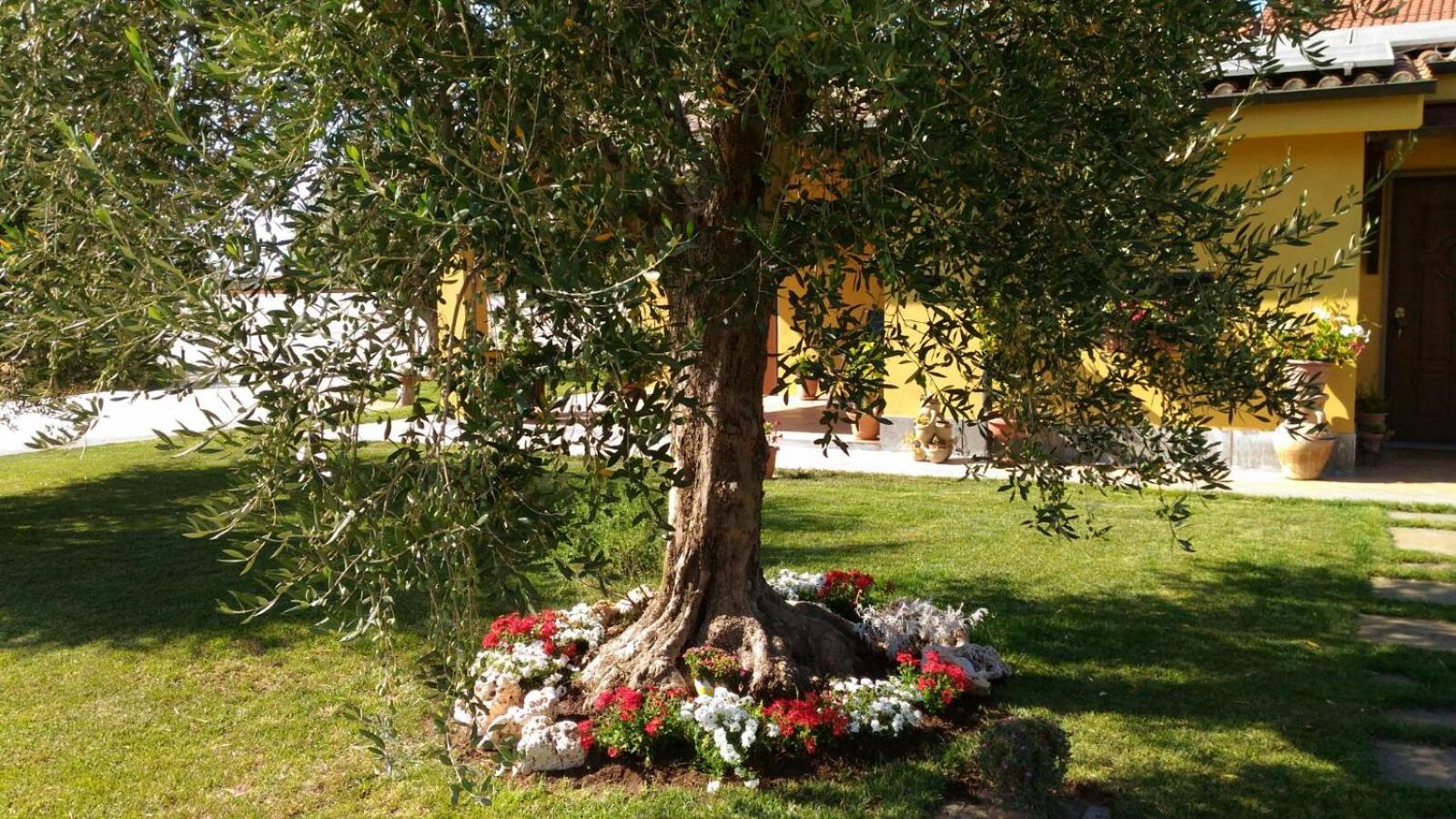 Photo 25