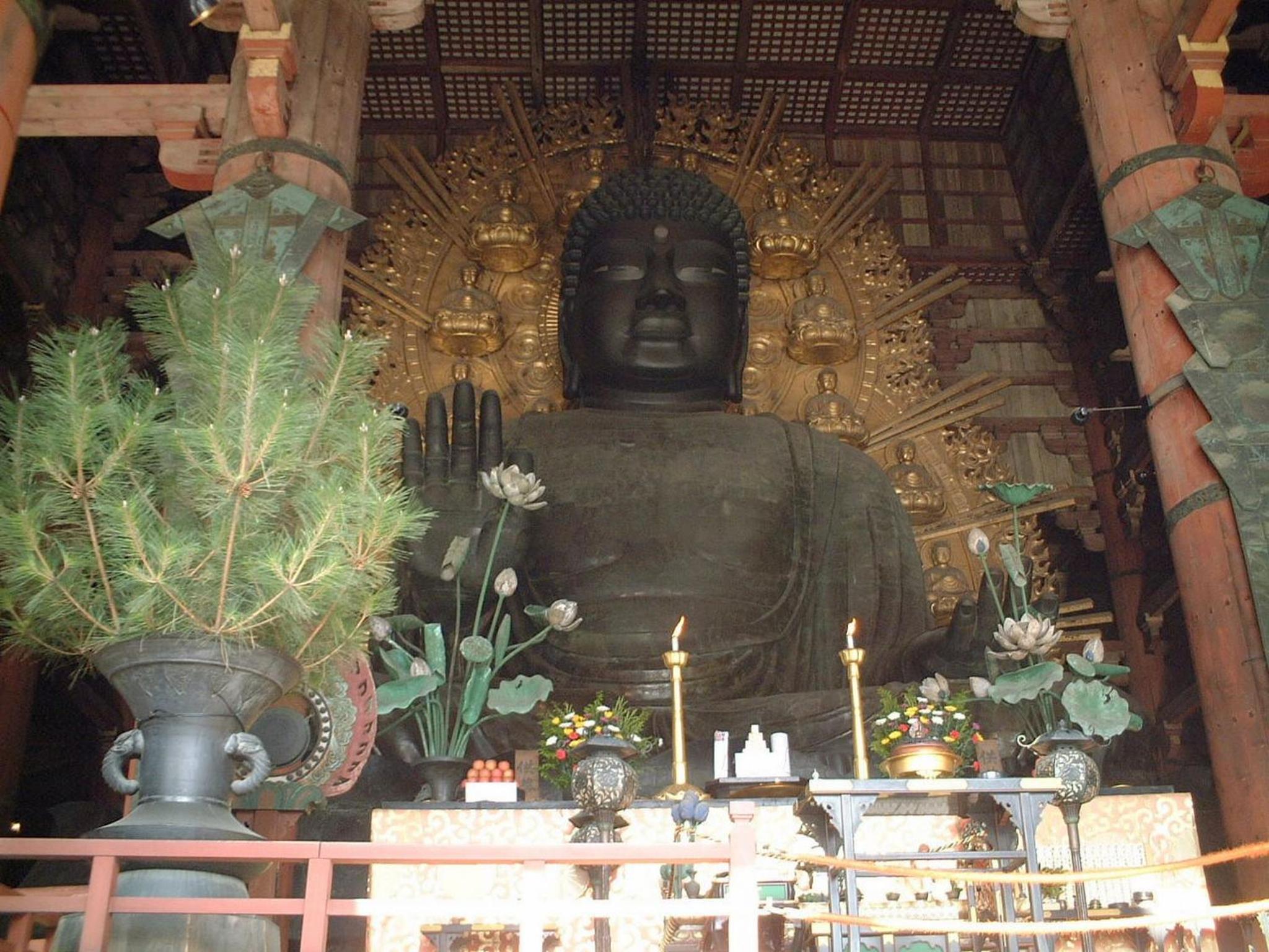Photo 15