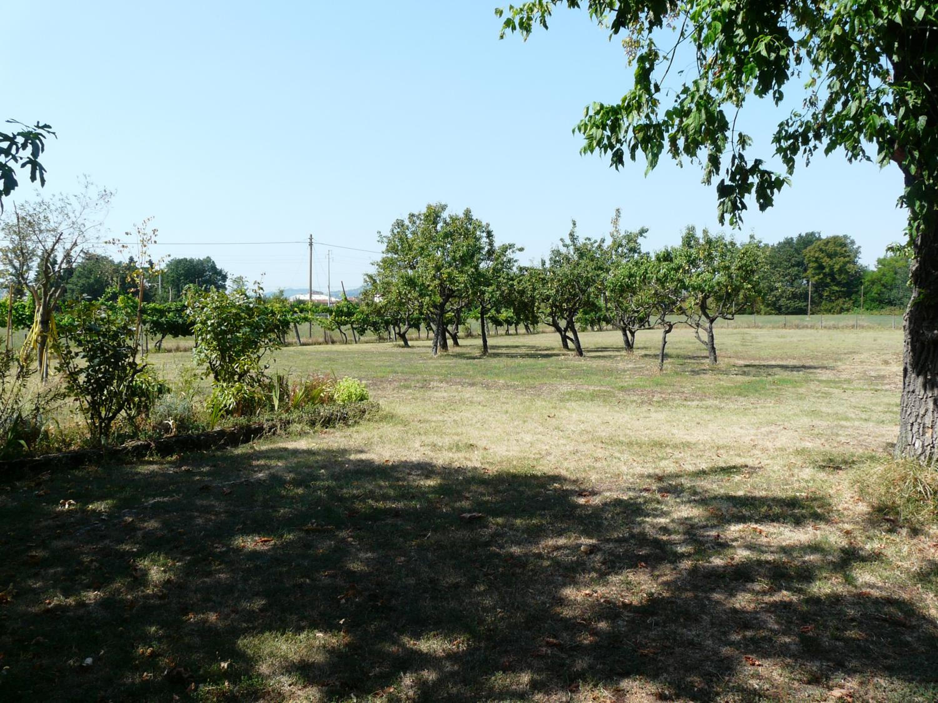 Photo 39