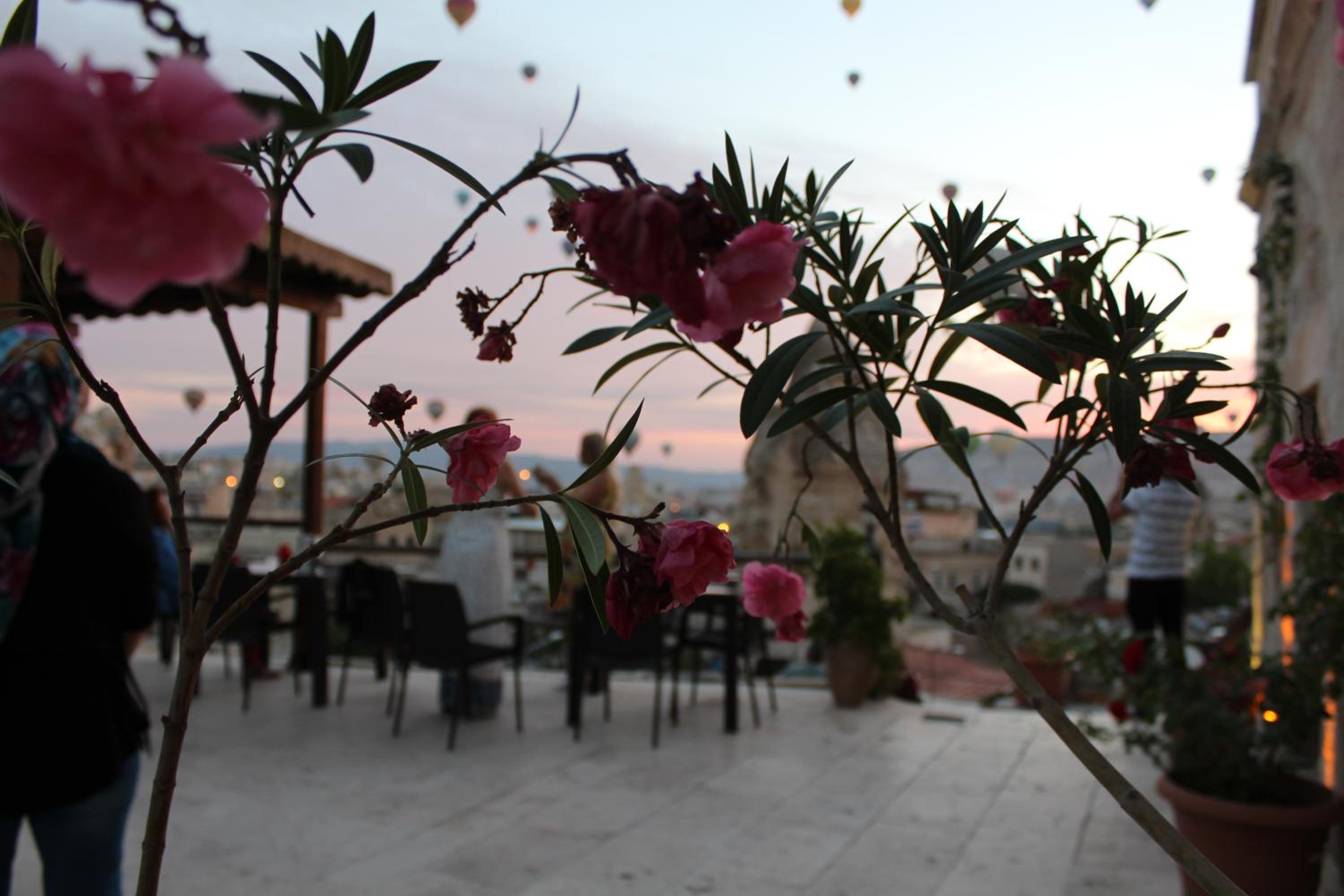 Shoestring Cave House - Image 120