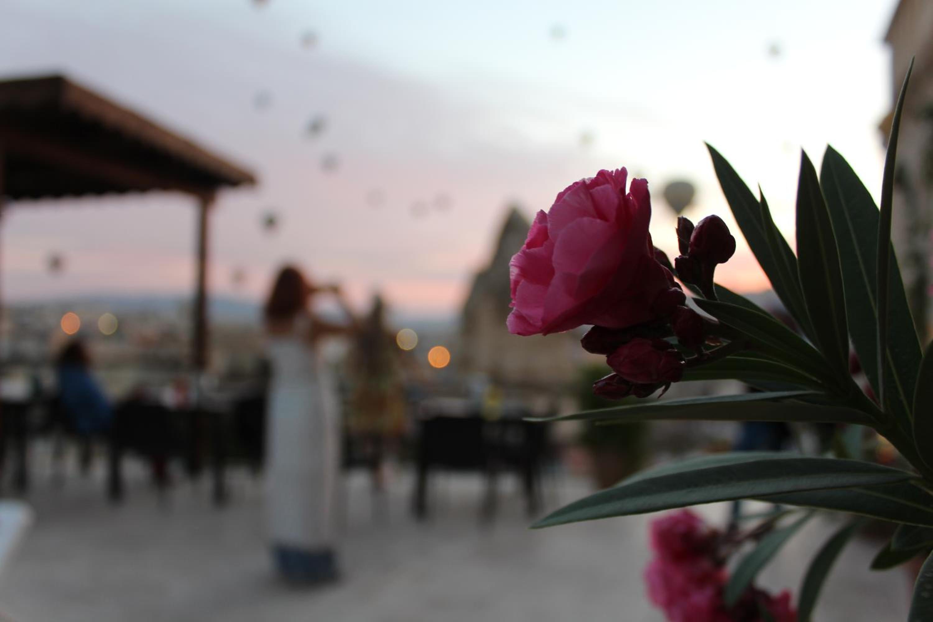 Shoestring Cave House - Image 122