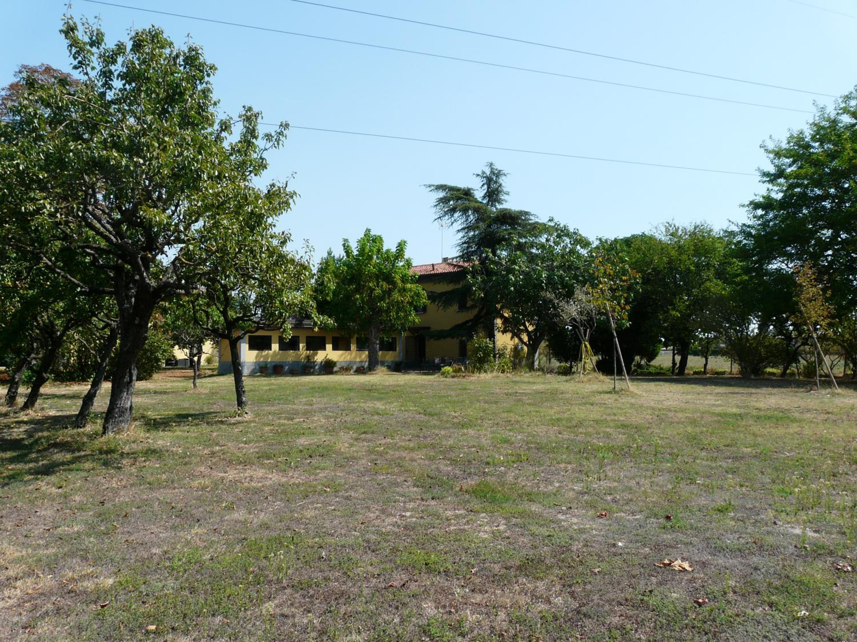 Photo 36