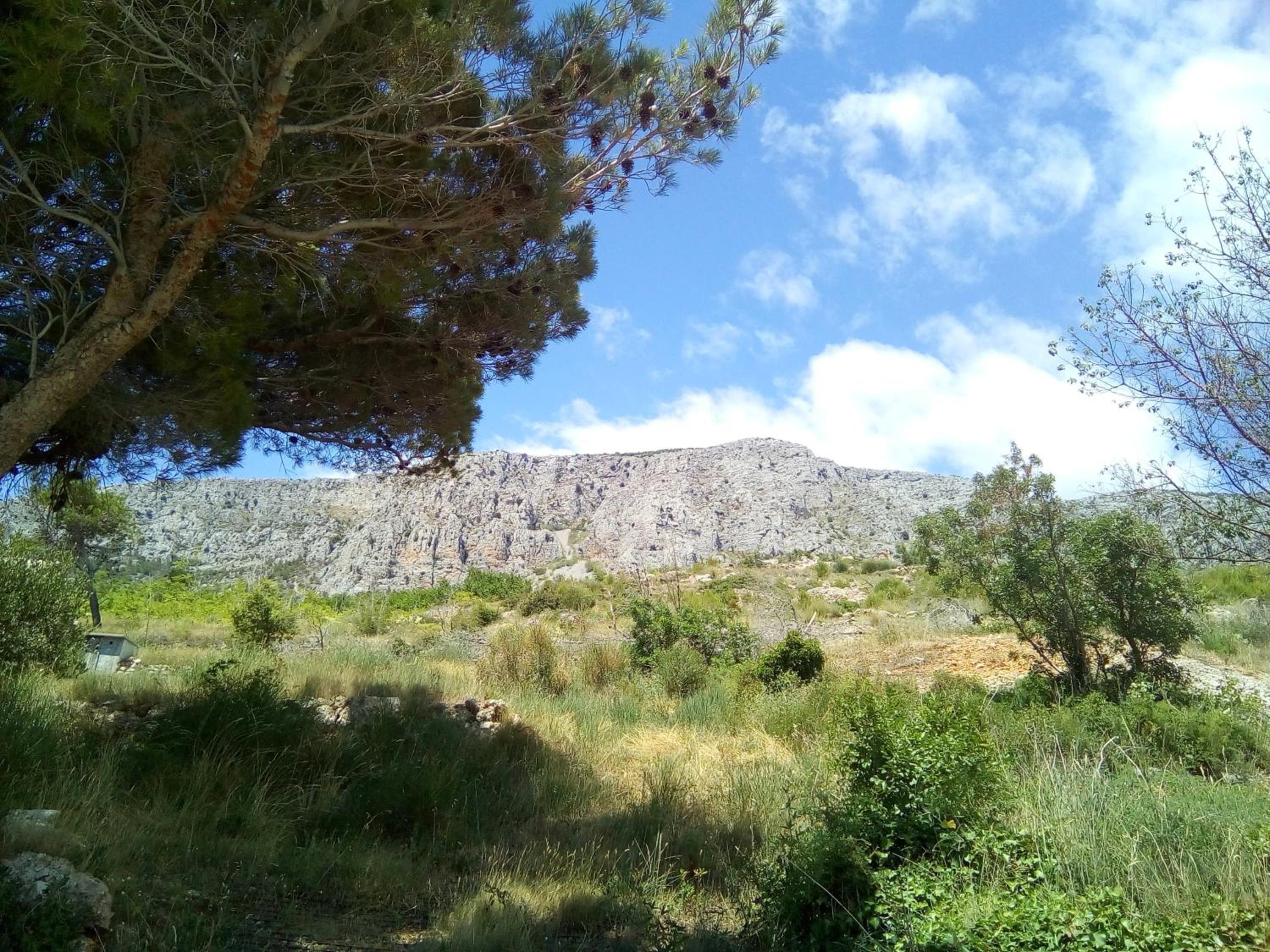 Photo 47
