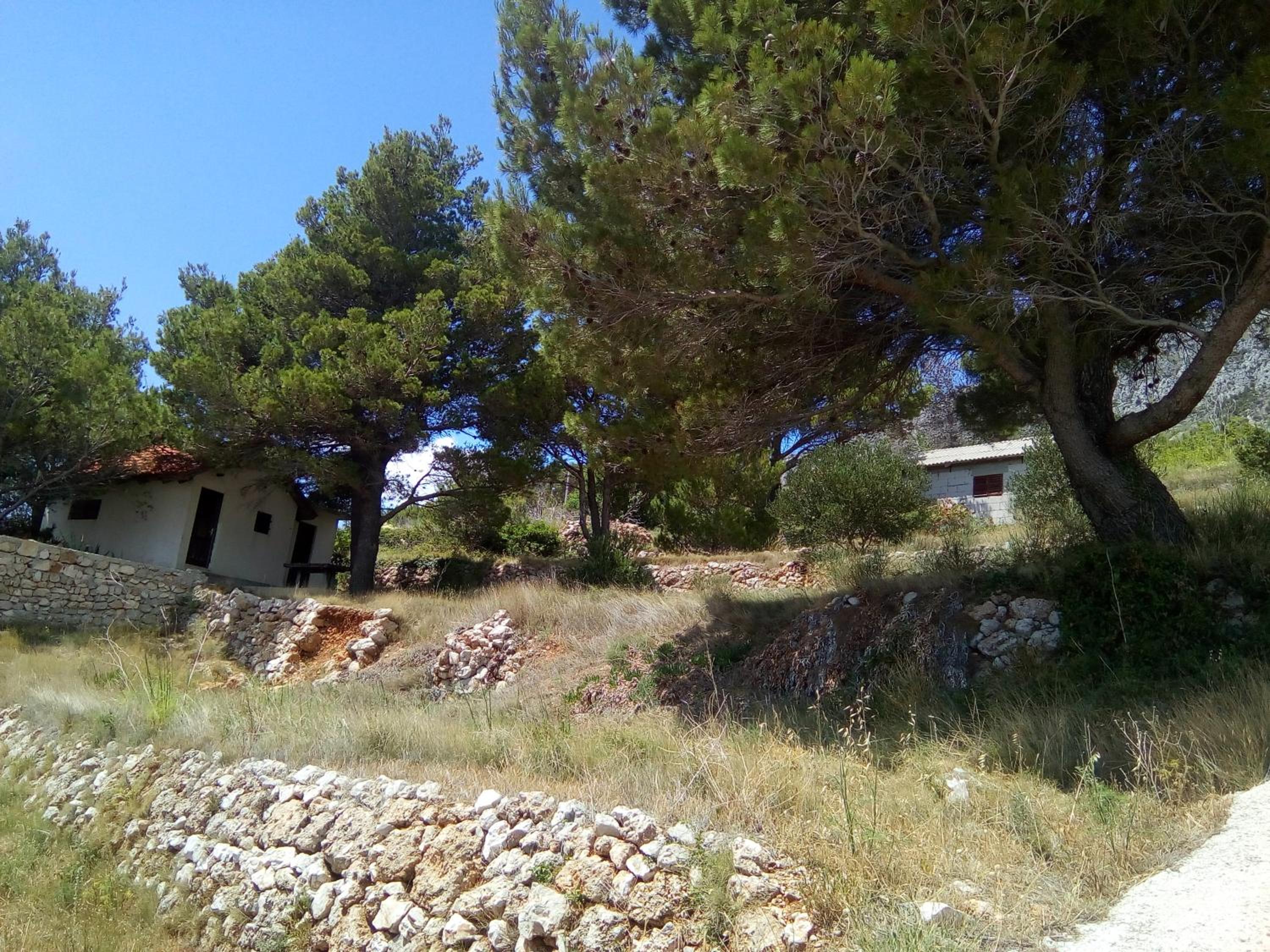 Photo 49