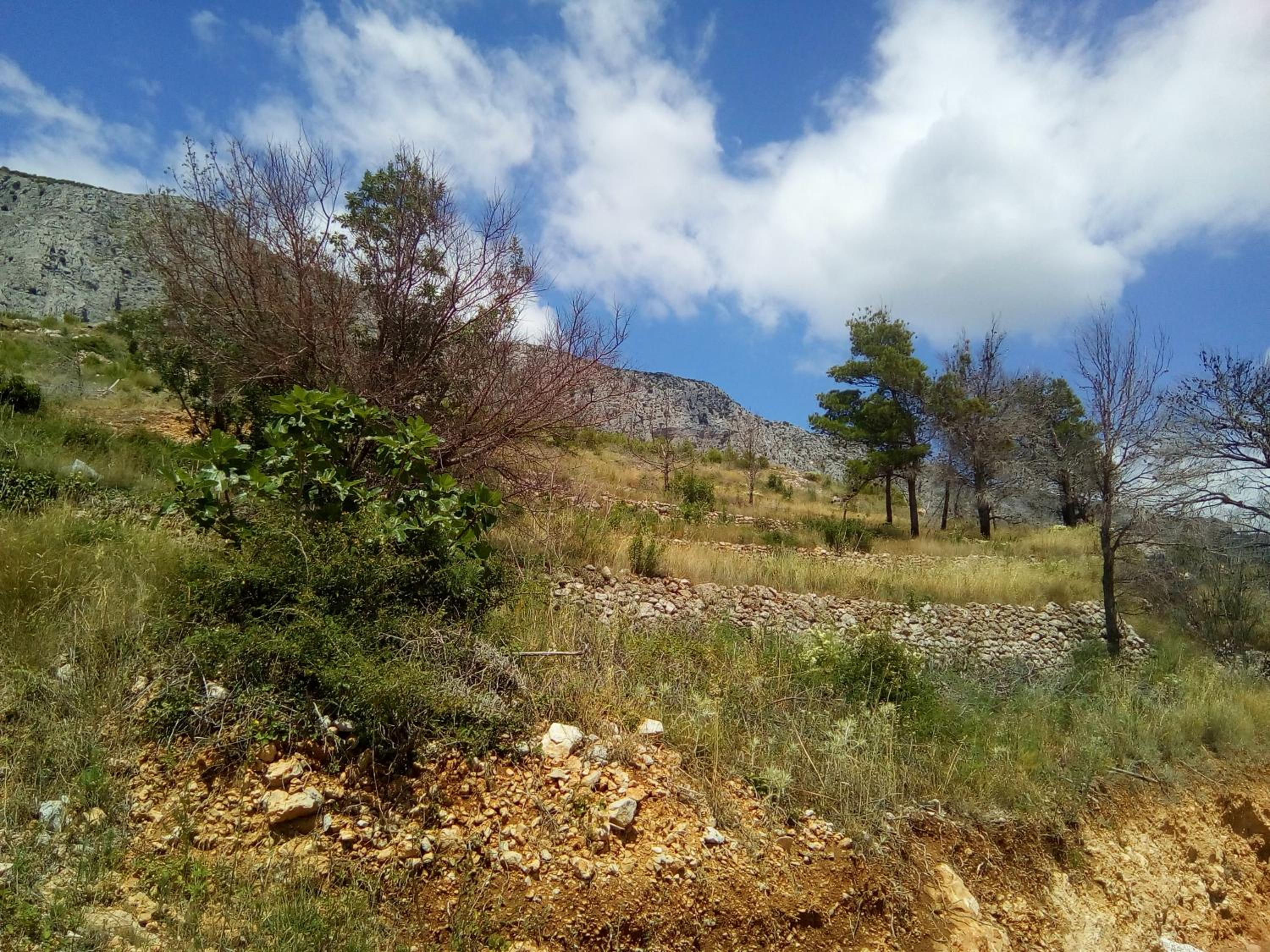 Photo 46