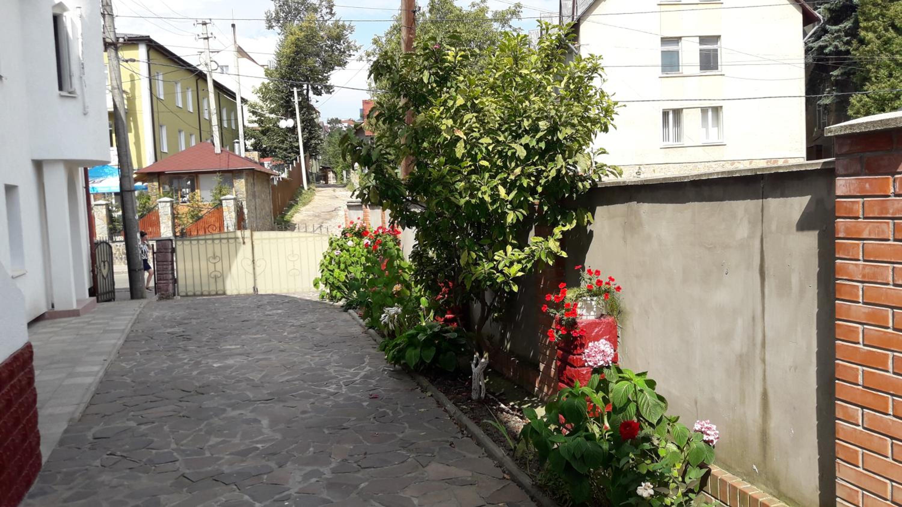 Photo 33