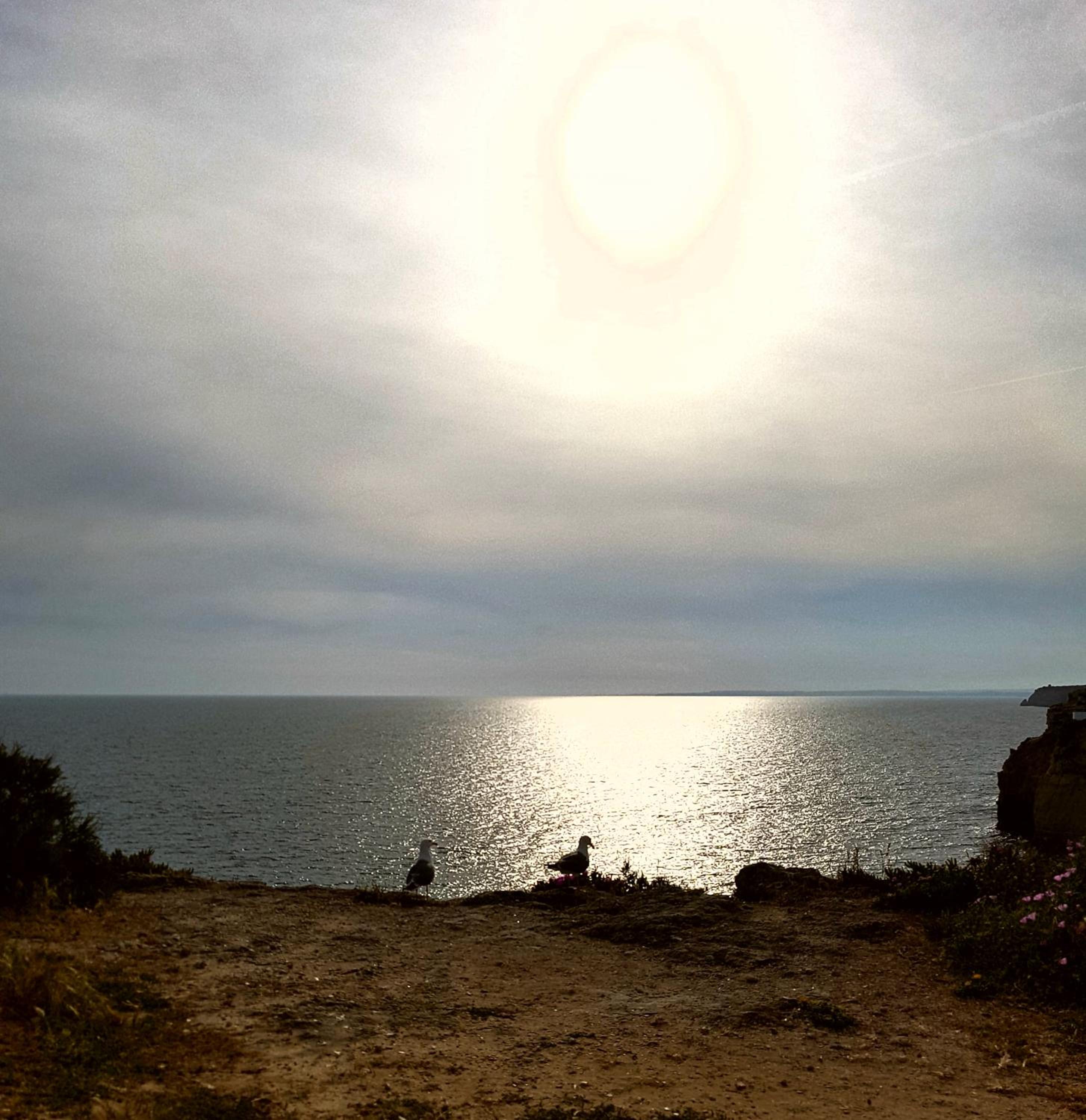 Carvoeiro Vacations - Apartamento Morning Cascade - Property Image 46