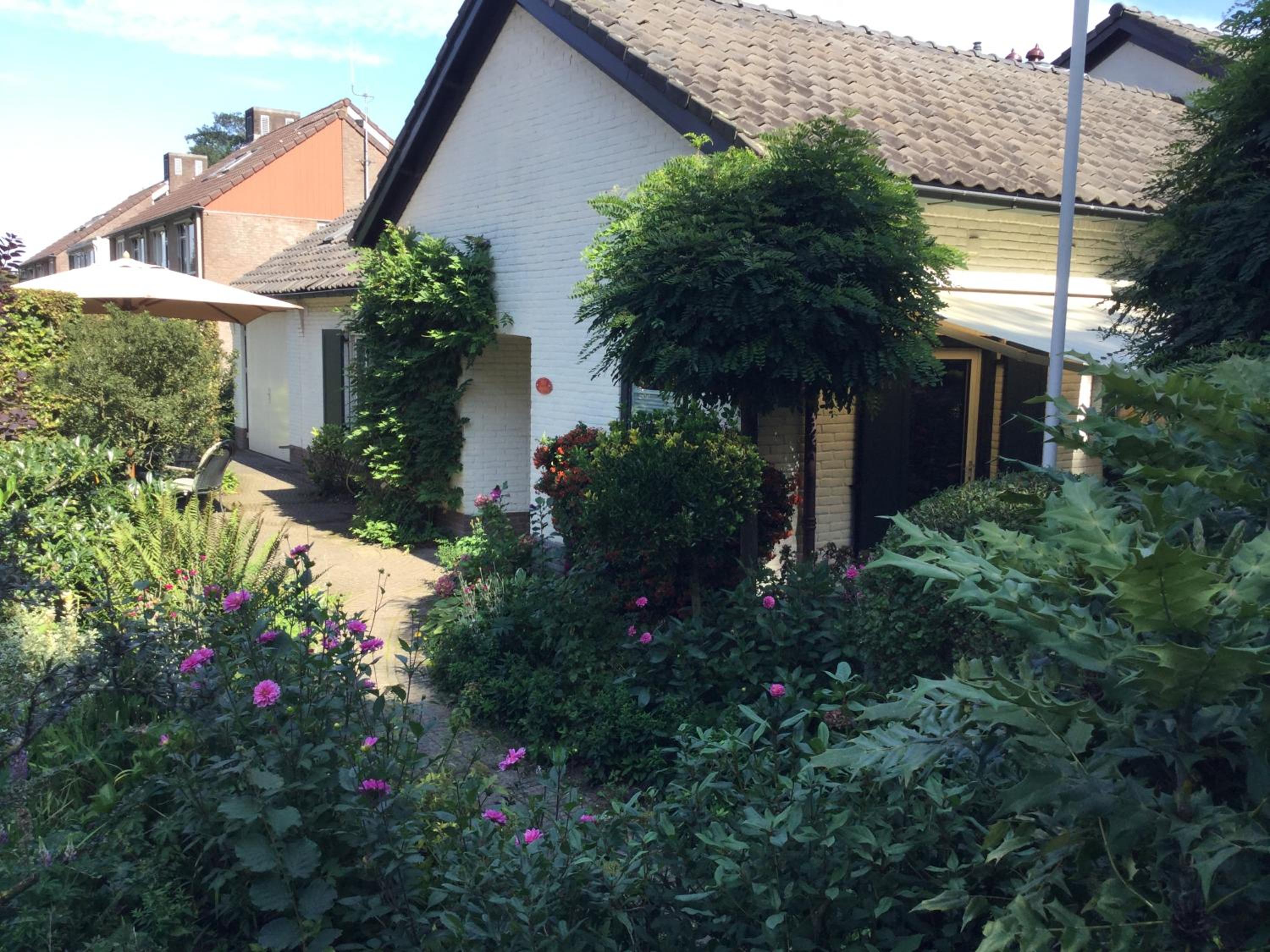 B&B Bosrand view 2