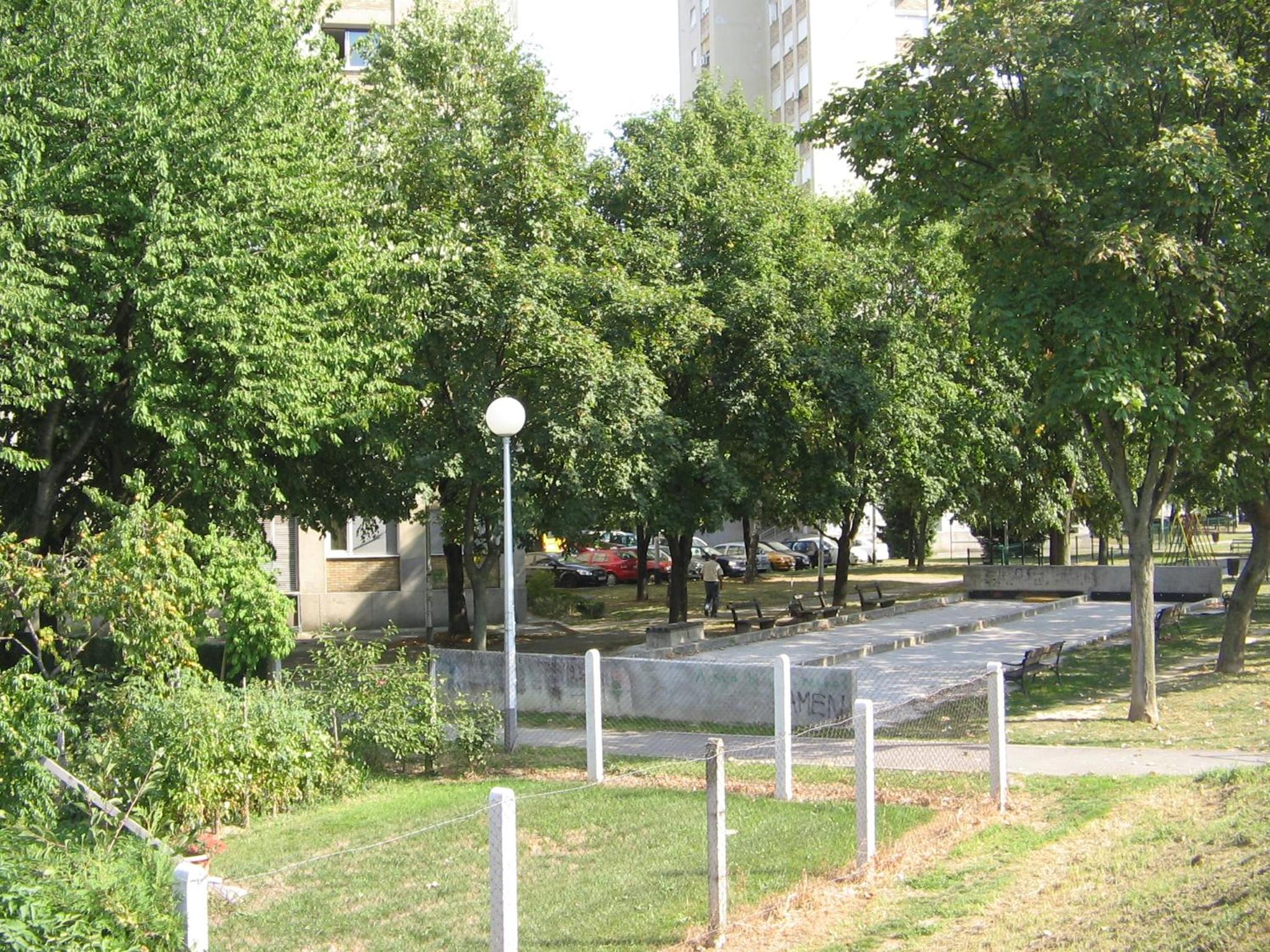 Photo 7