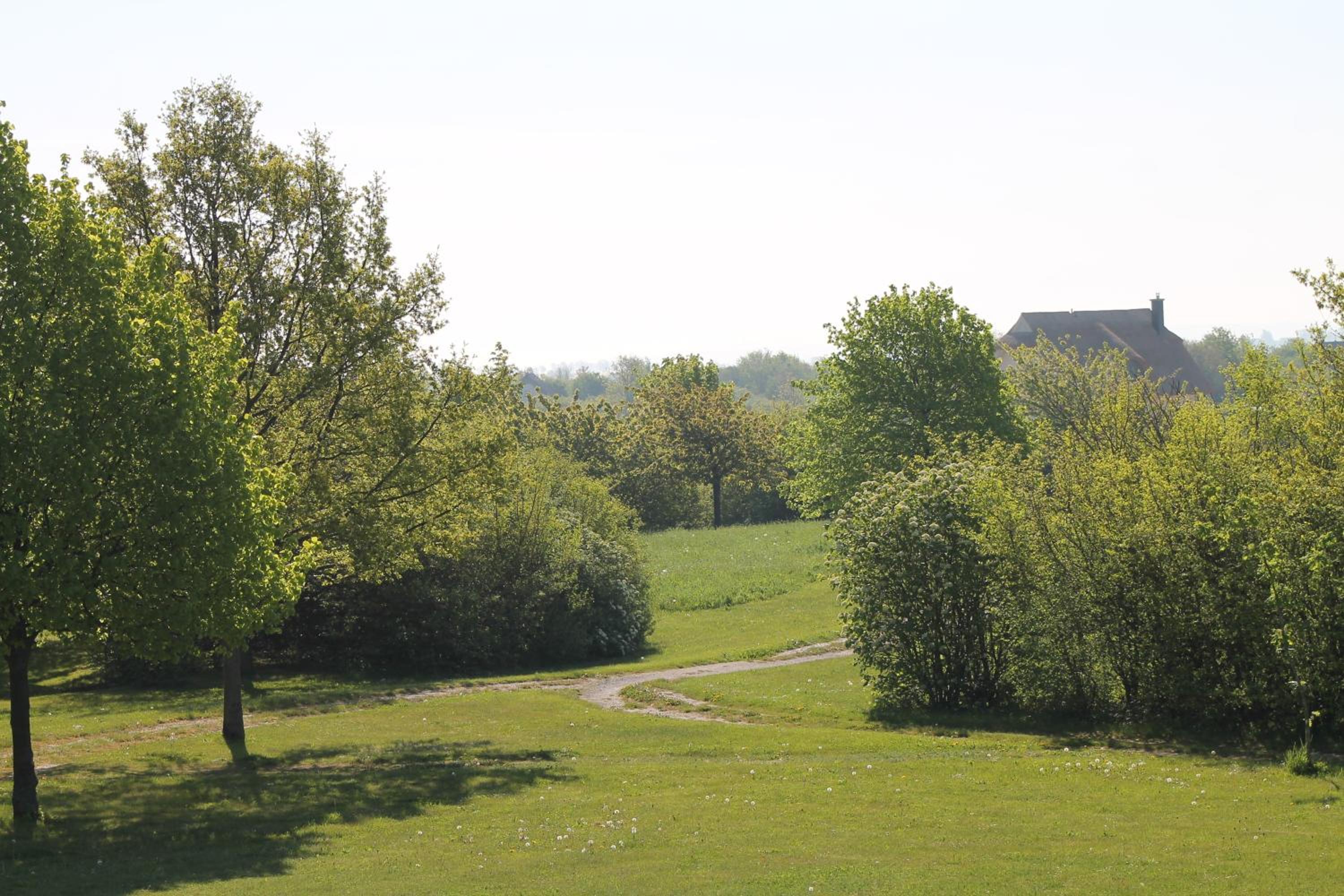 Photo 29