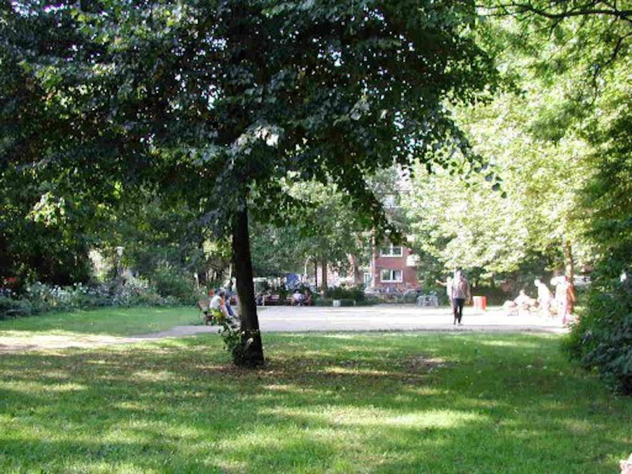 Photo 43