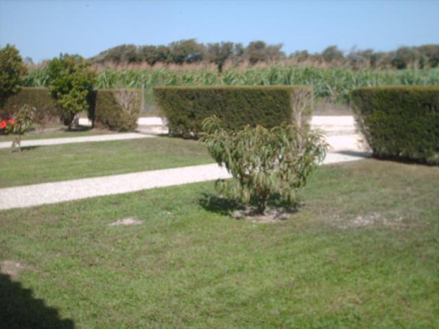 Quinta da Bunheira view 5