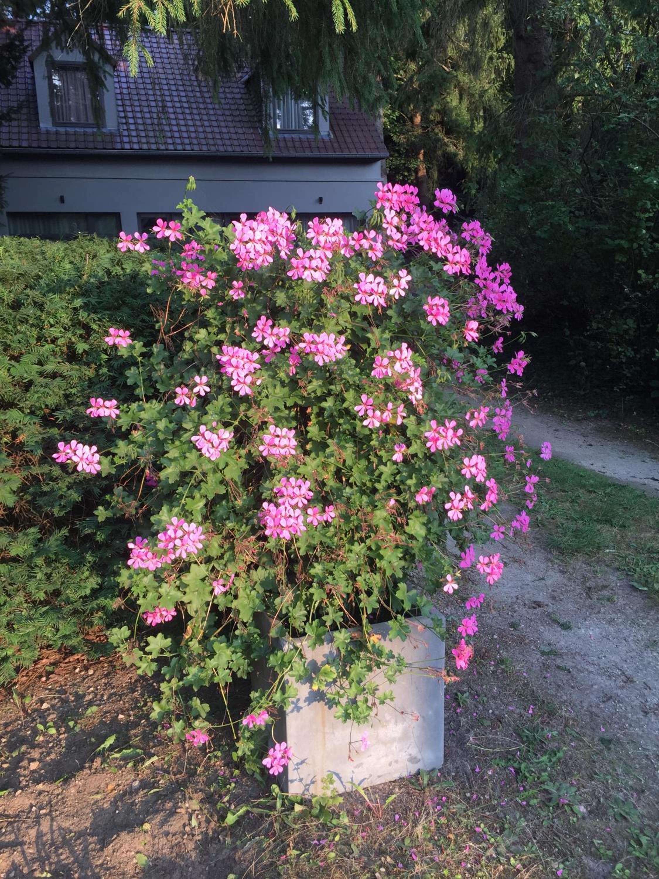 B&B Des Heures Claires