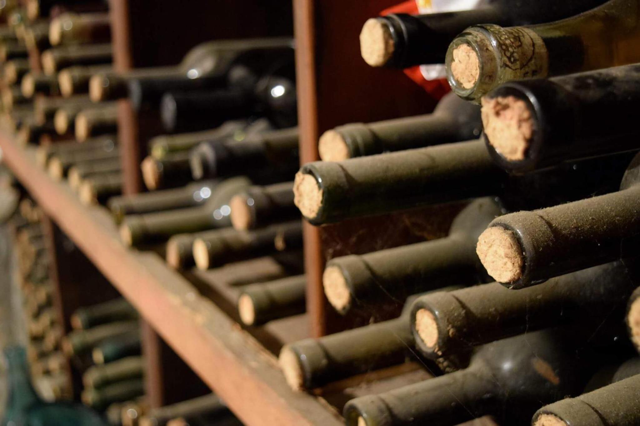 Gogi Dvalishvili Wine Cellar, photo 30