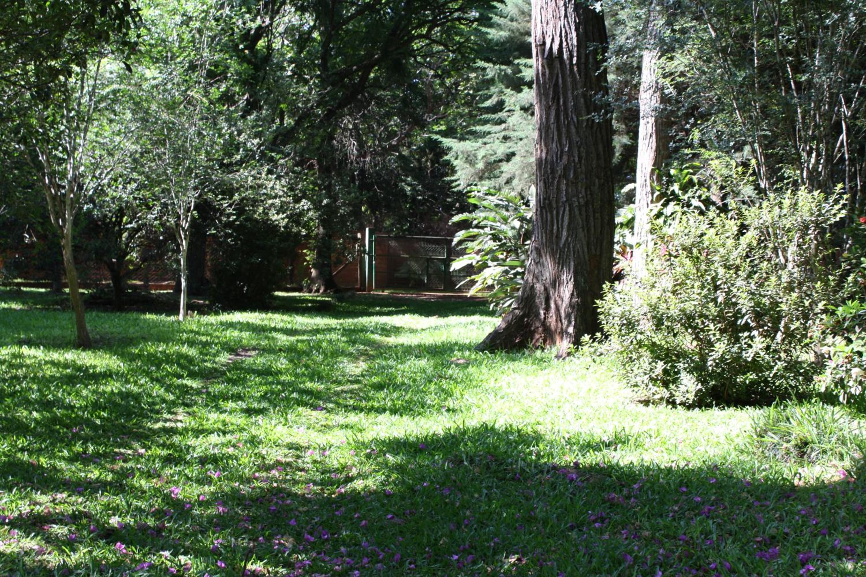 Oasis Bed and Breakfast