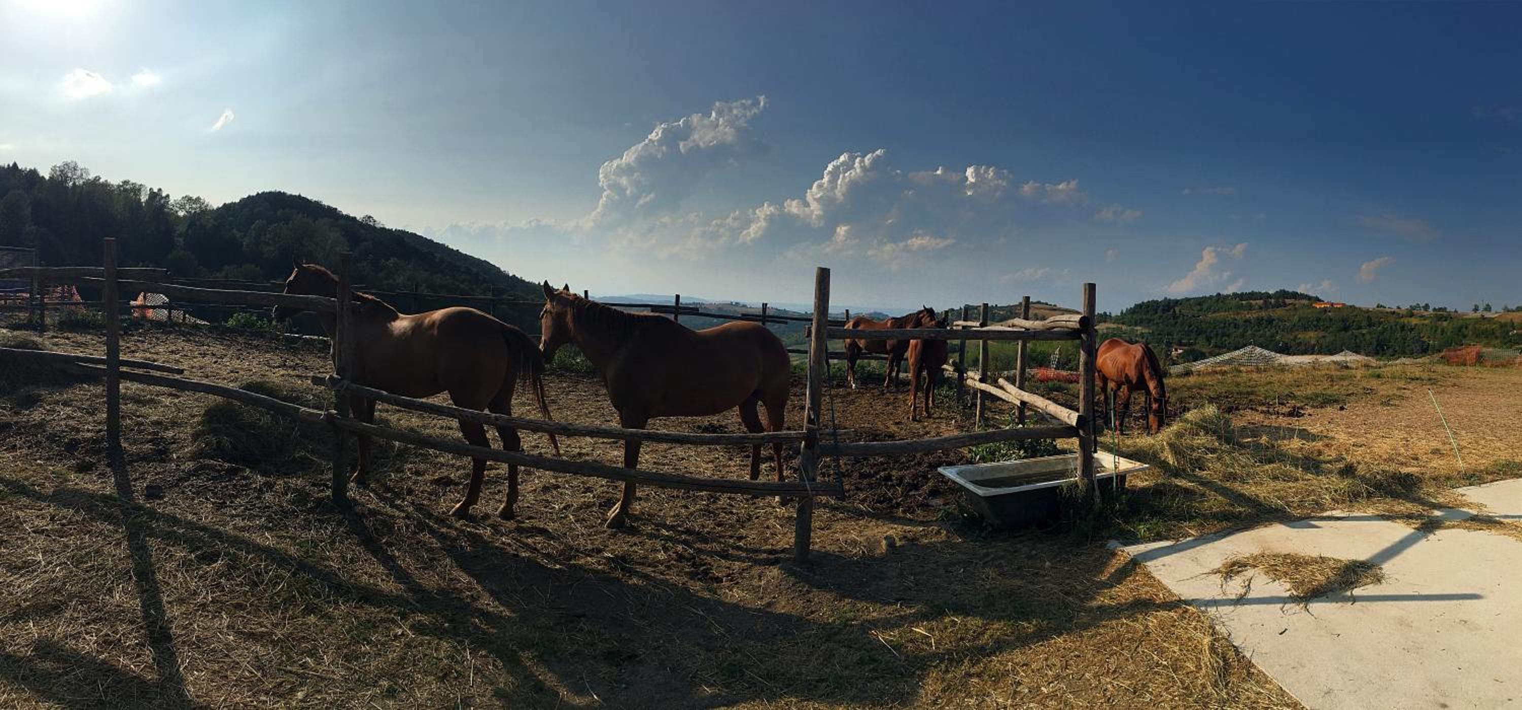 Maison Christine - Family Farm view 4