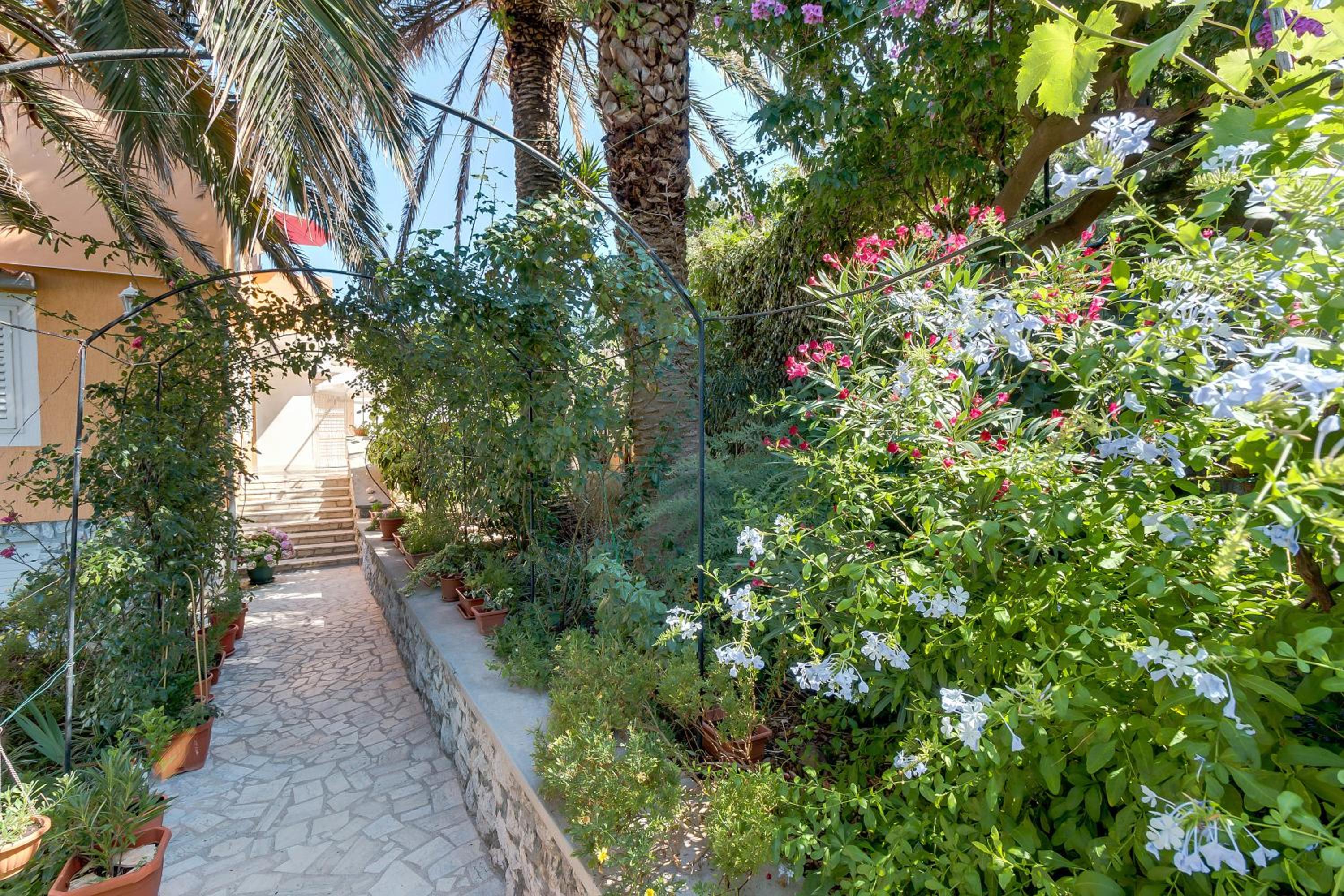 Apartments Pepi view 5