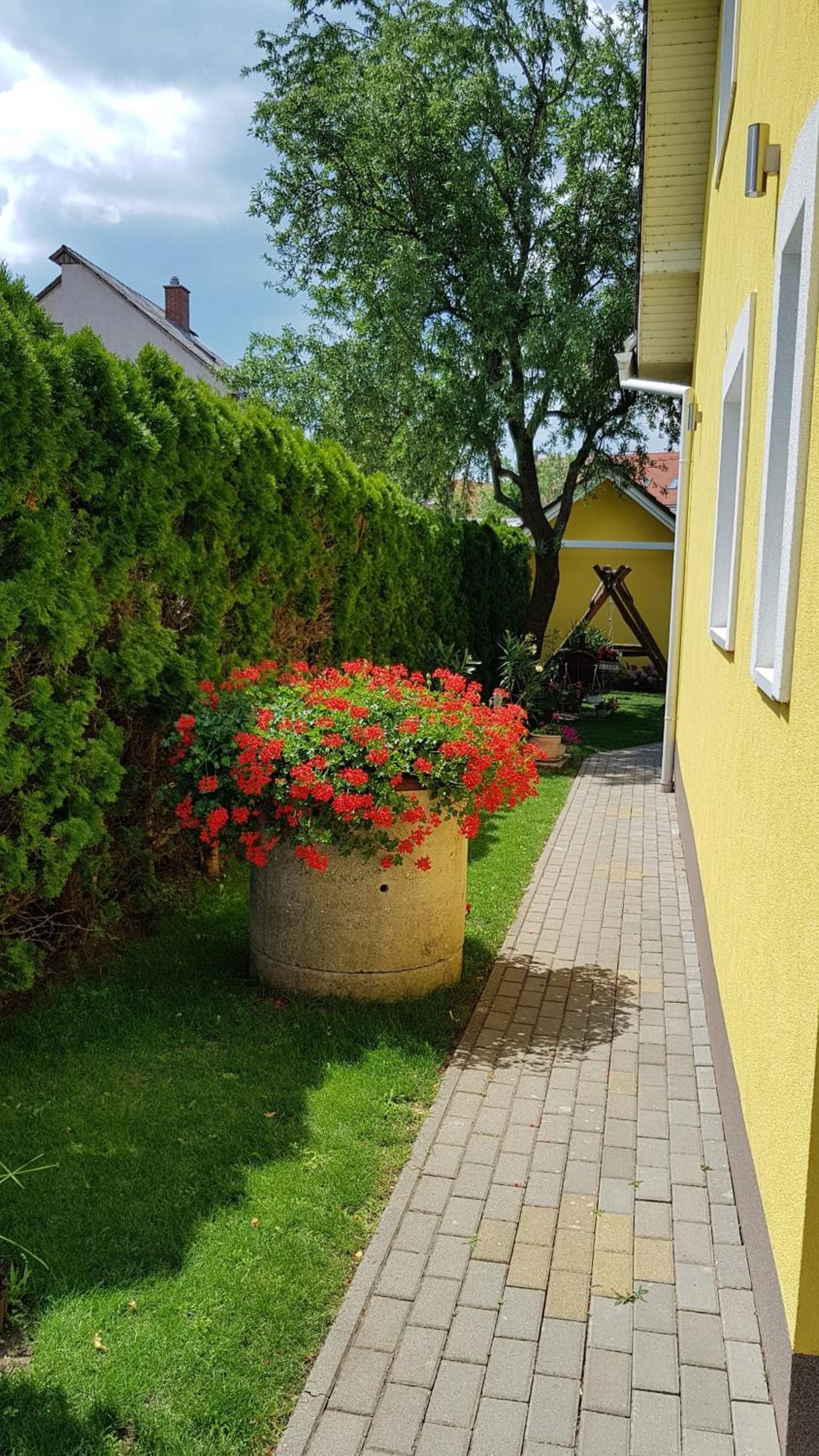 Photo 38