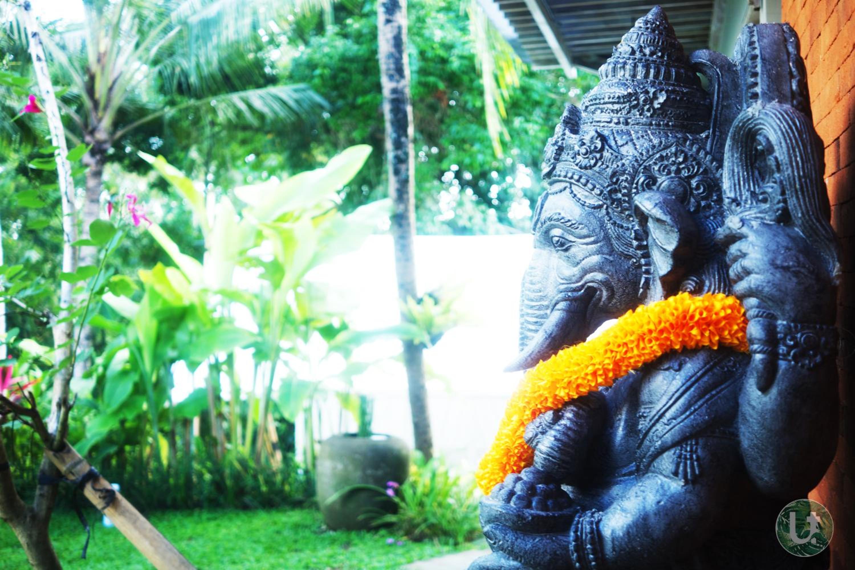 Ubud Tropical