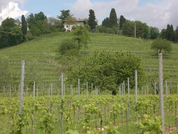 Agriturismo Giorgio Colutta