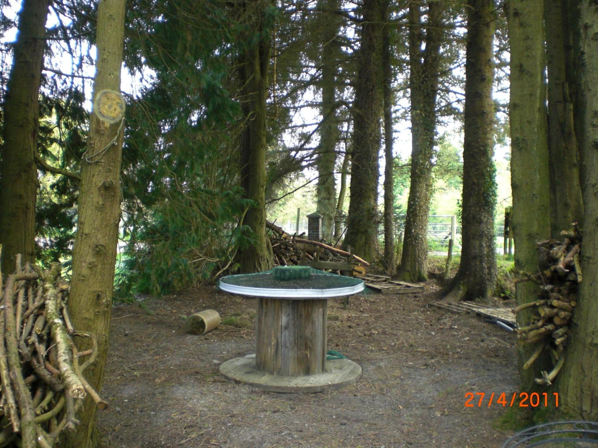 Photo 15