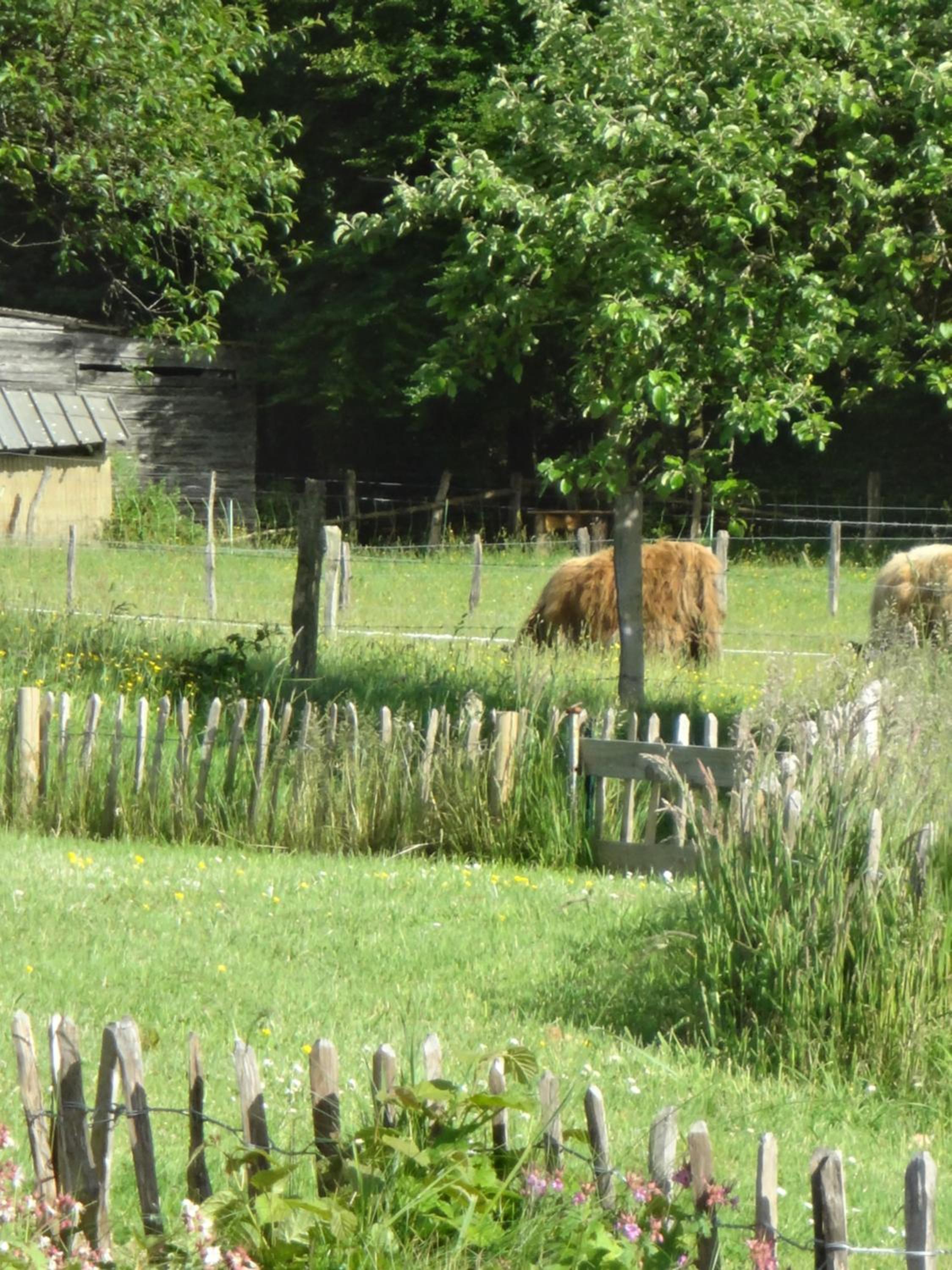 An Hütten