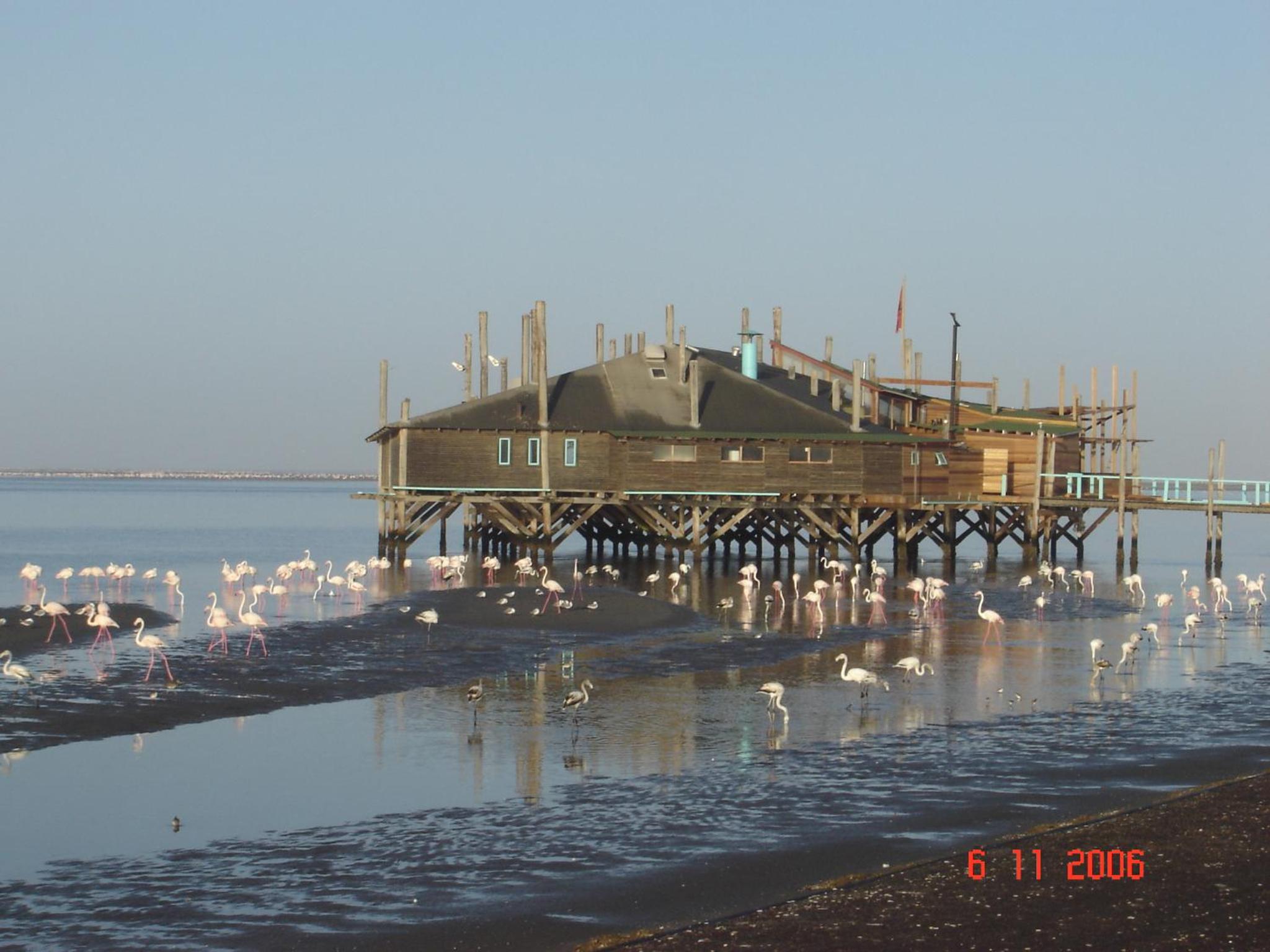 Photo 45