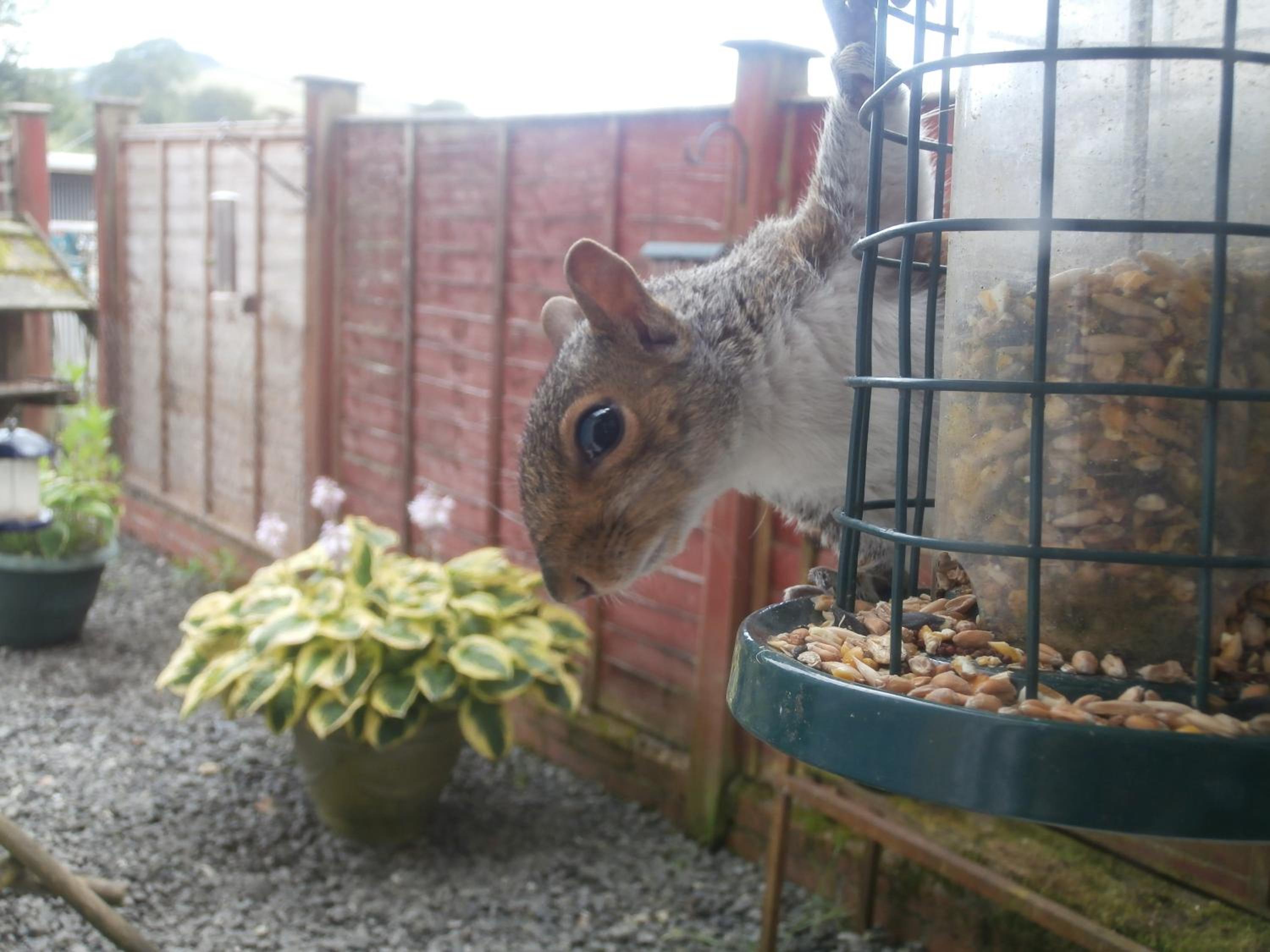 Photo 30