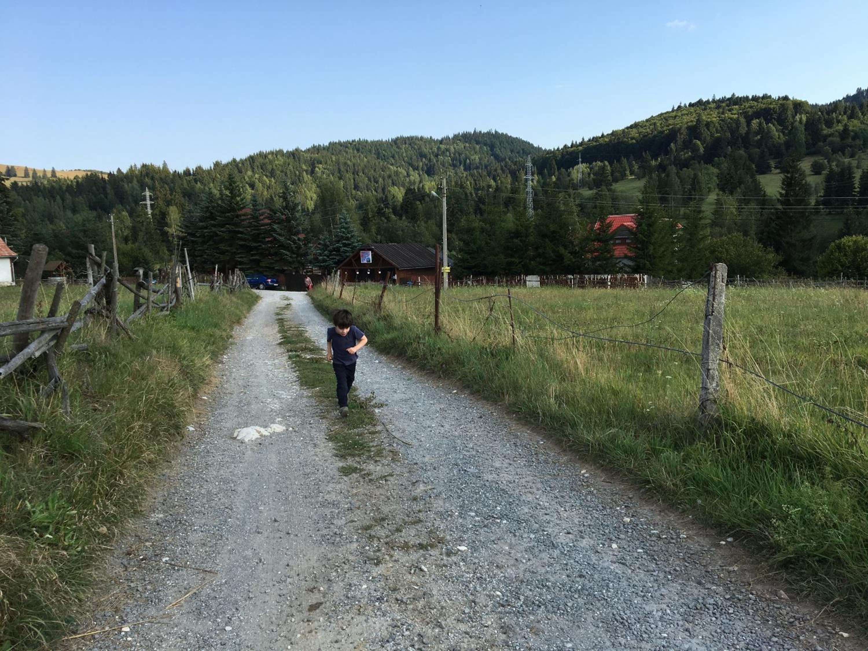 Photo 24