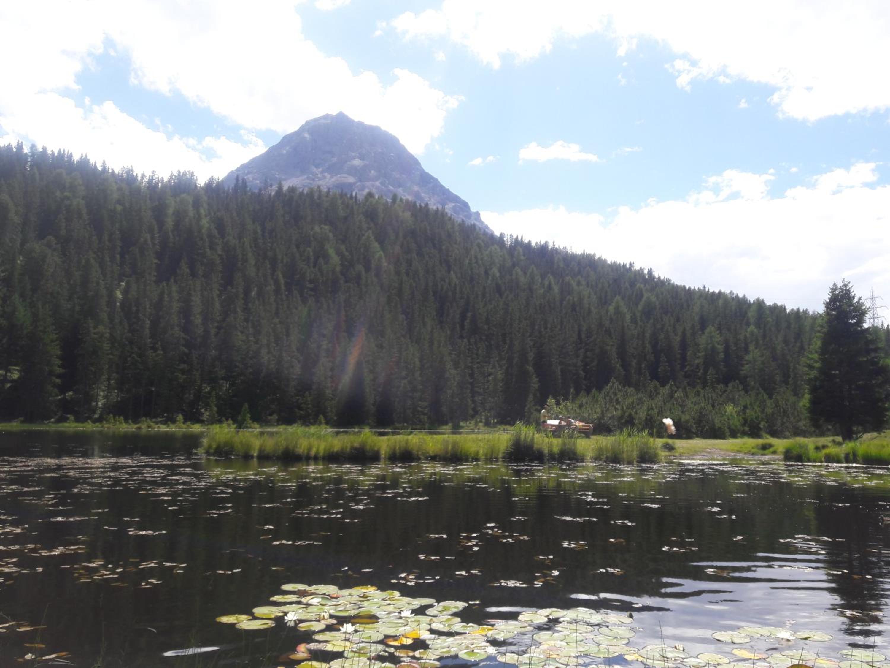 Photo 20