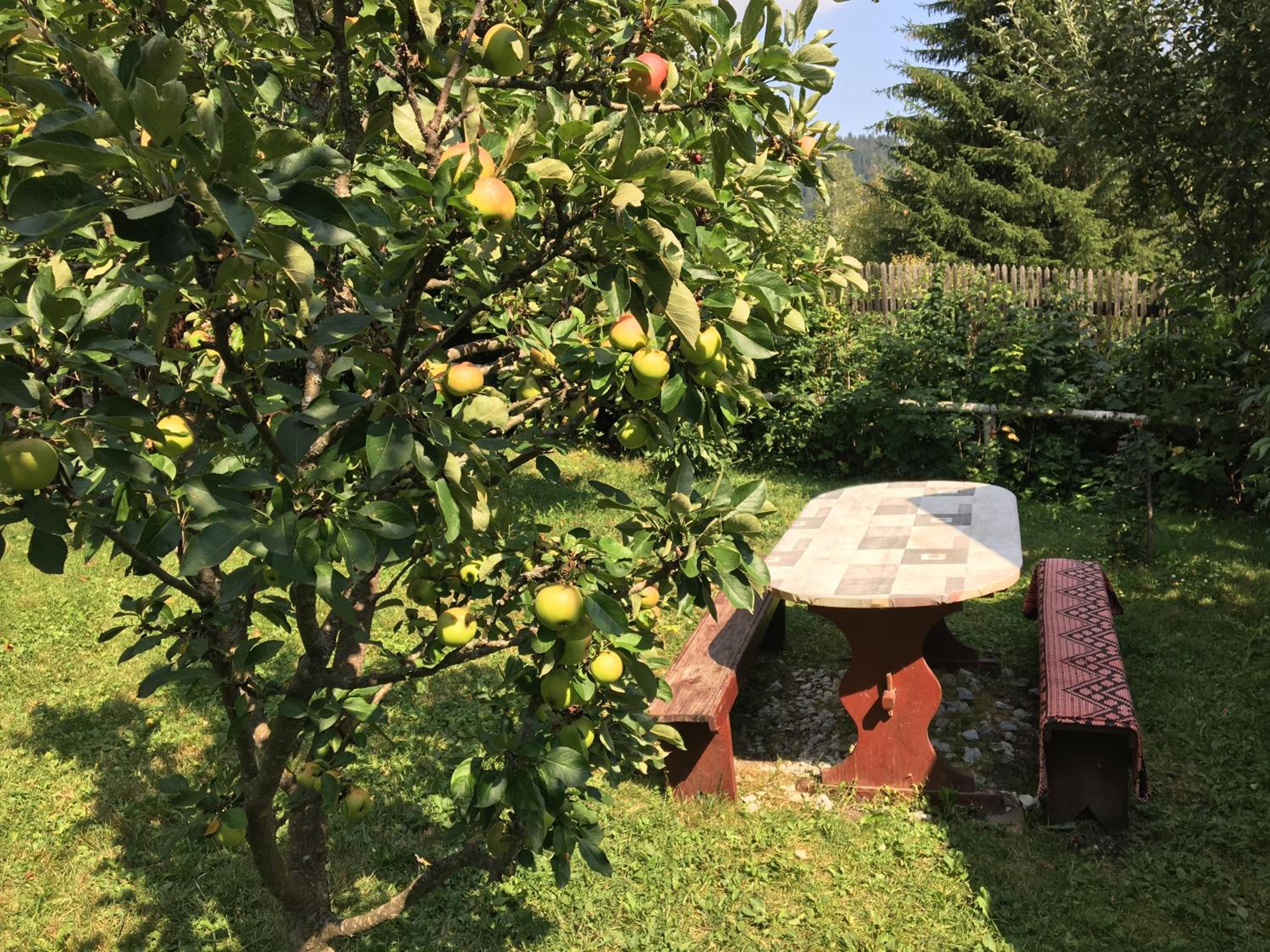 Photo 26