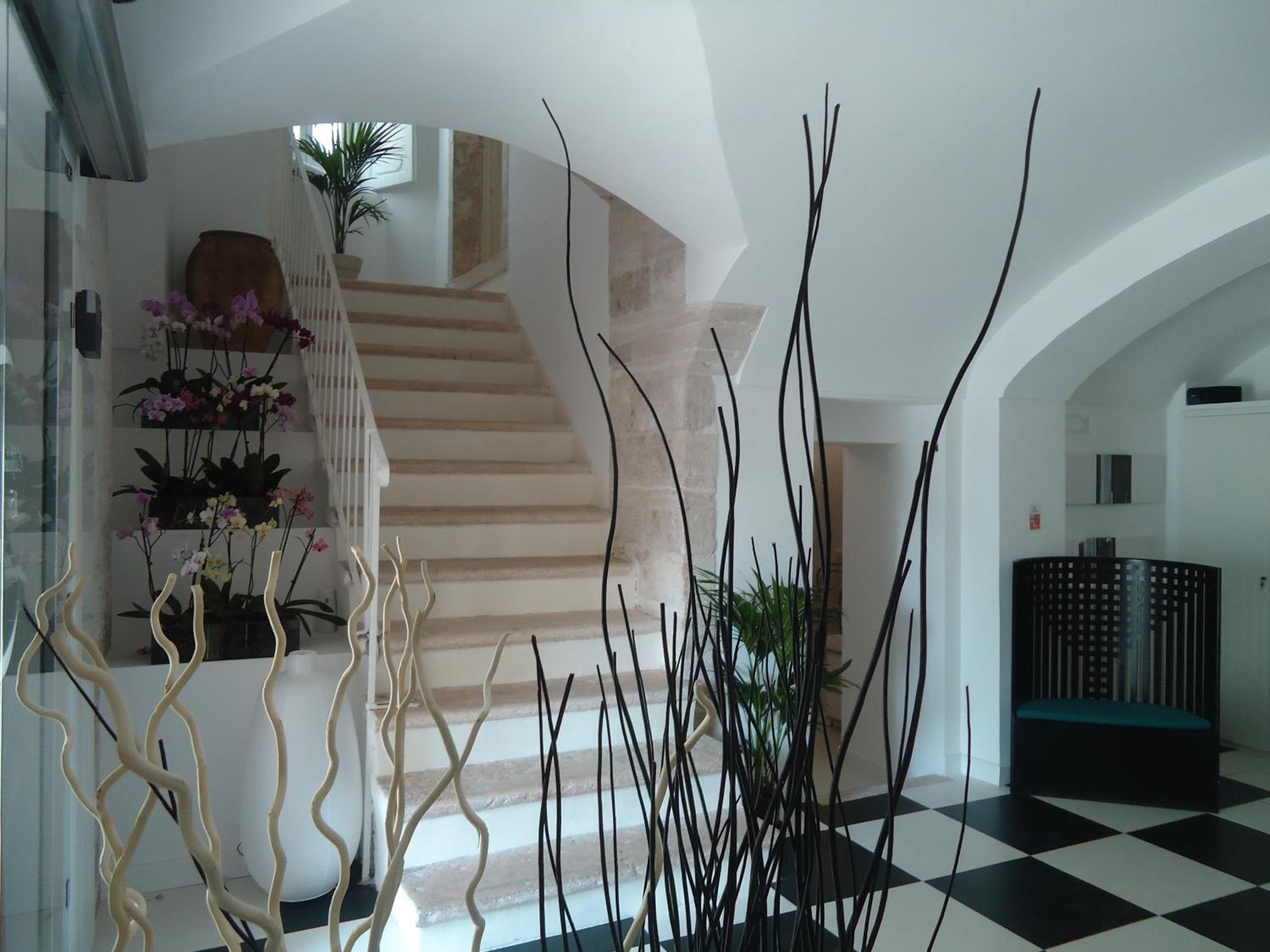 Edificio 15 House Elite