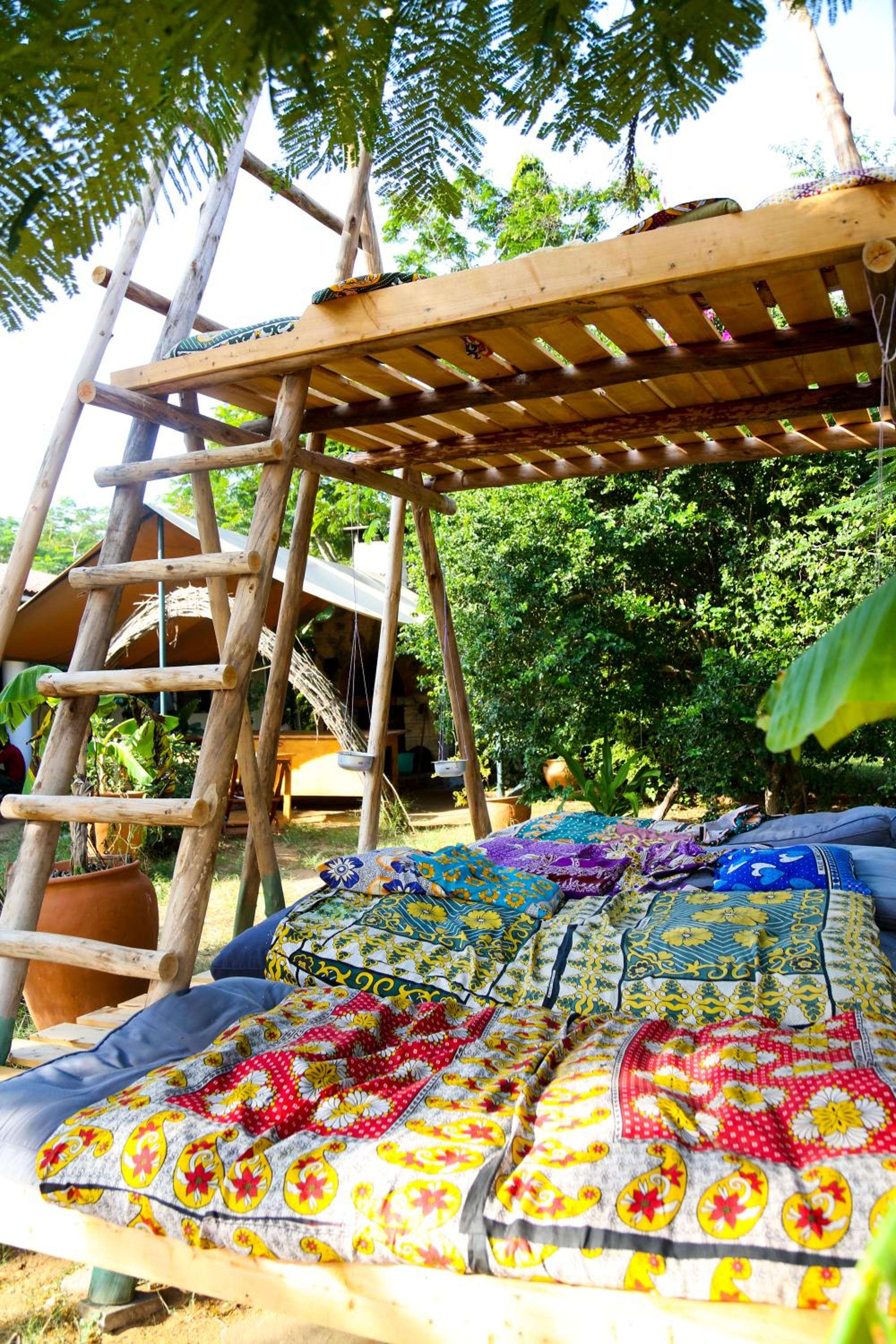 Distant Relatives Ecolodge & Backpackers