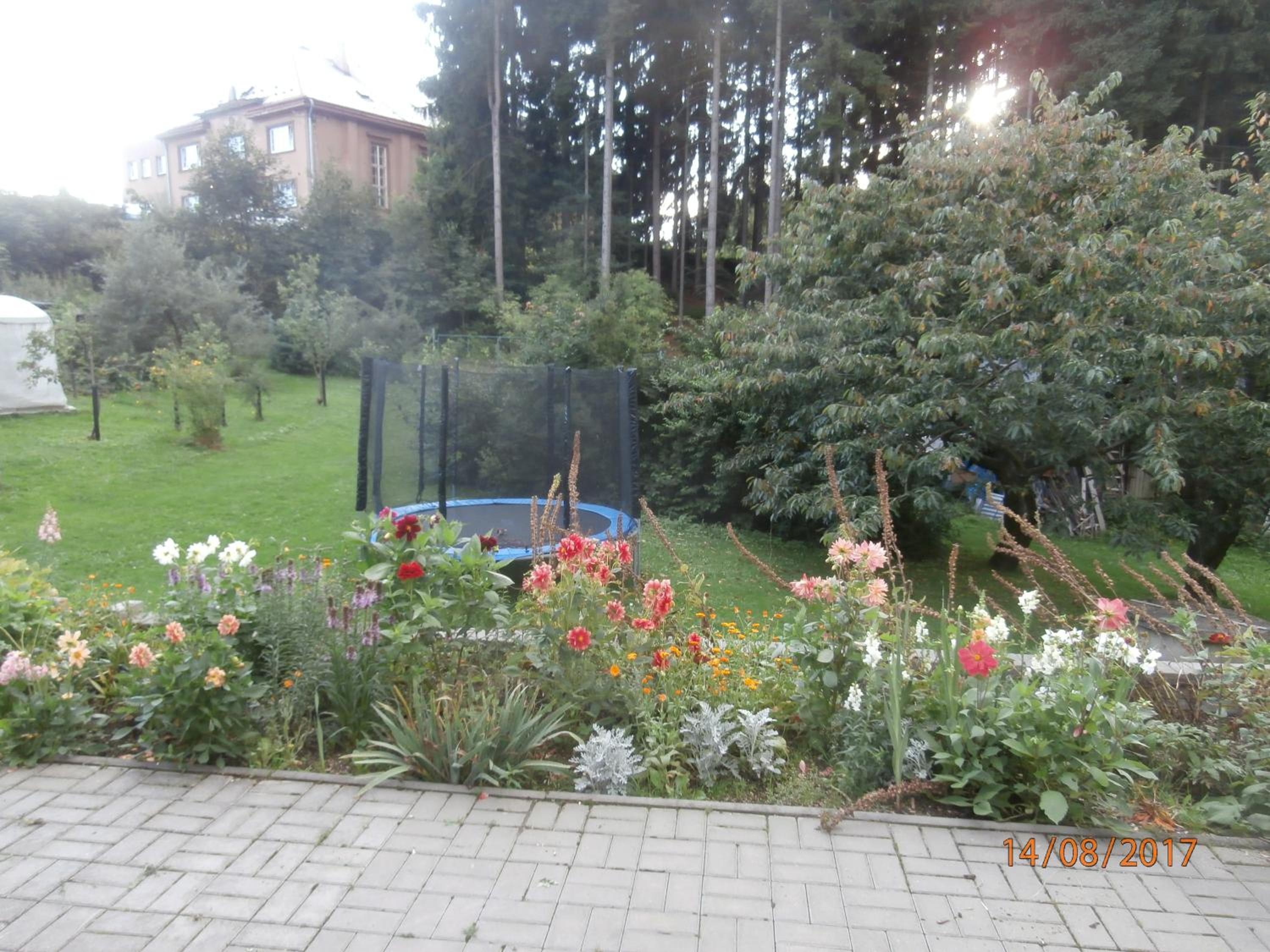 Photo 34