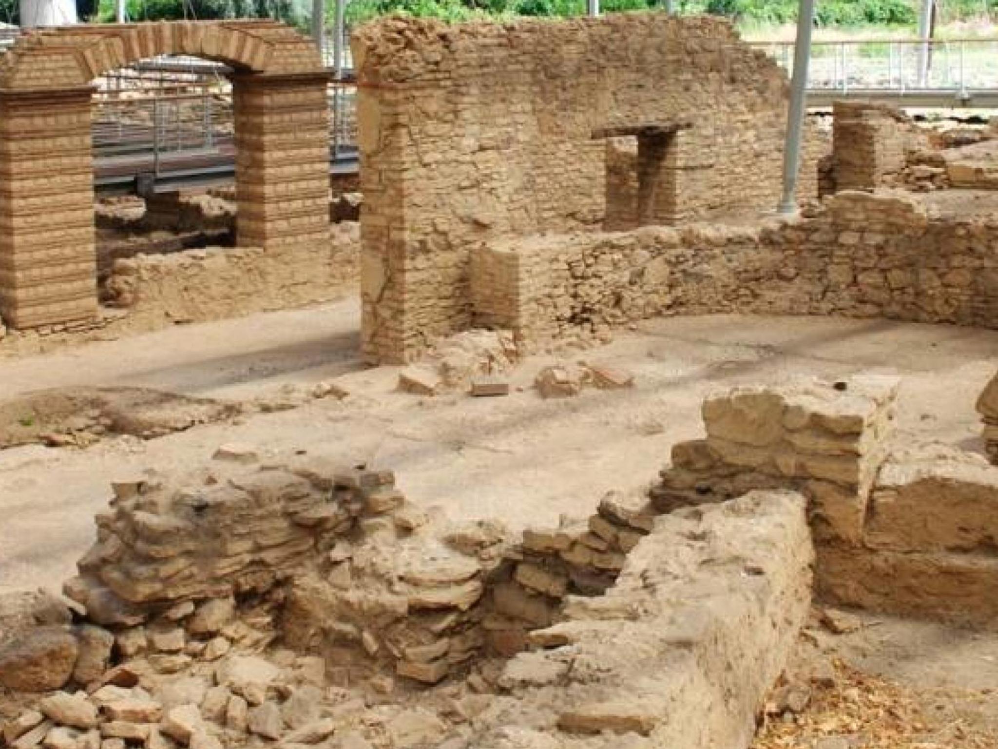 Casa Vacanze il Gelsomino photo 3