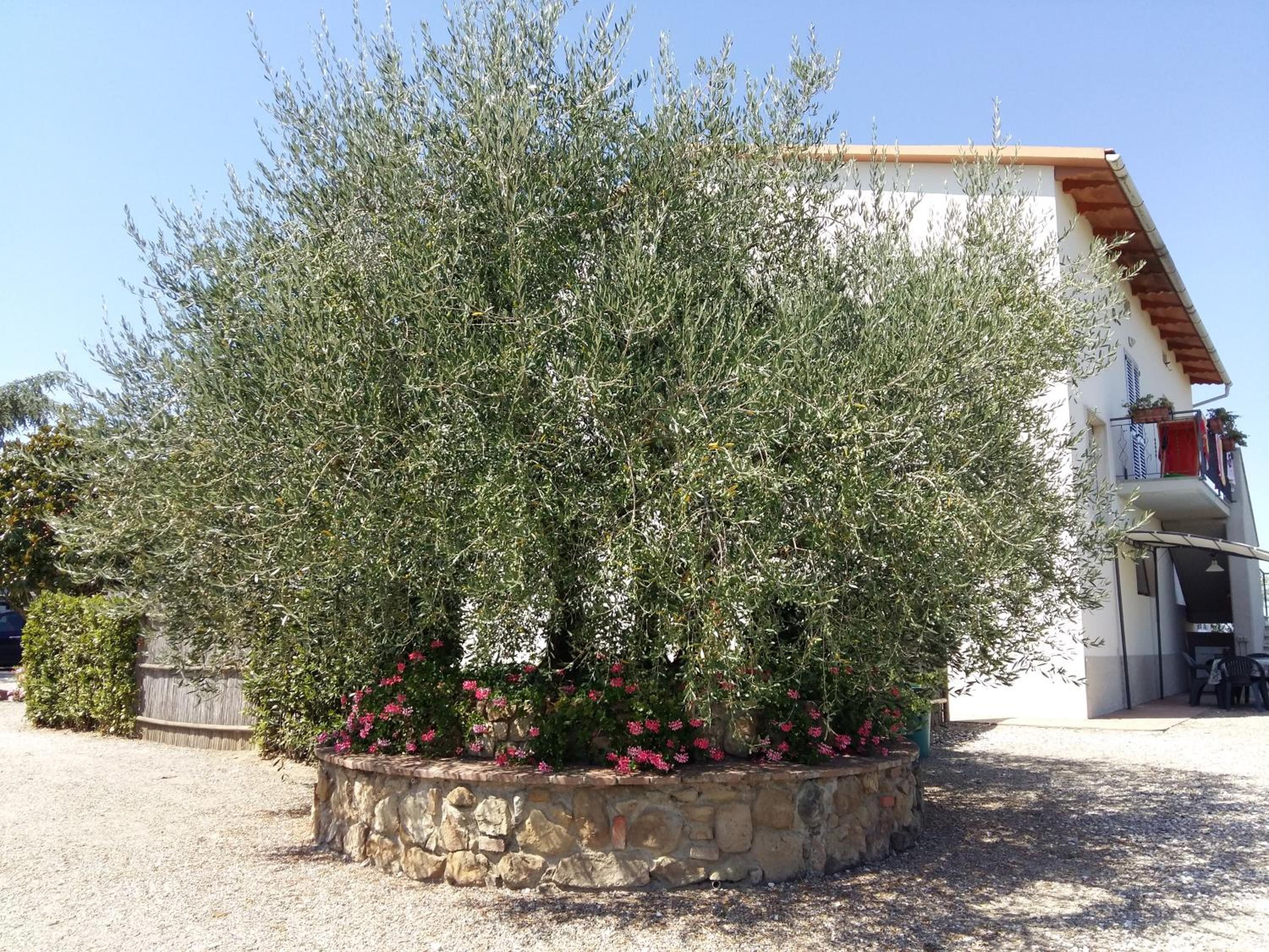 Country House Tenuta Fornacelle