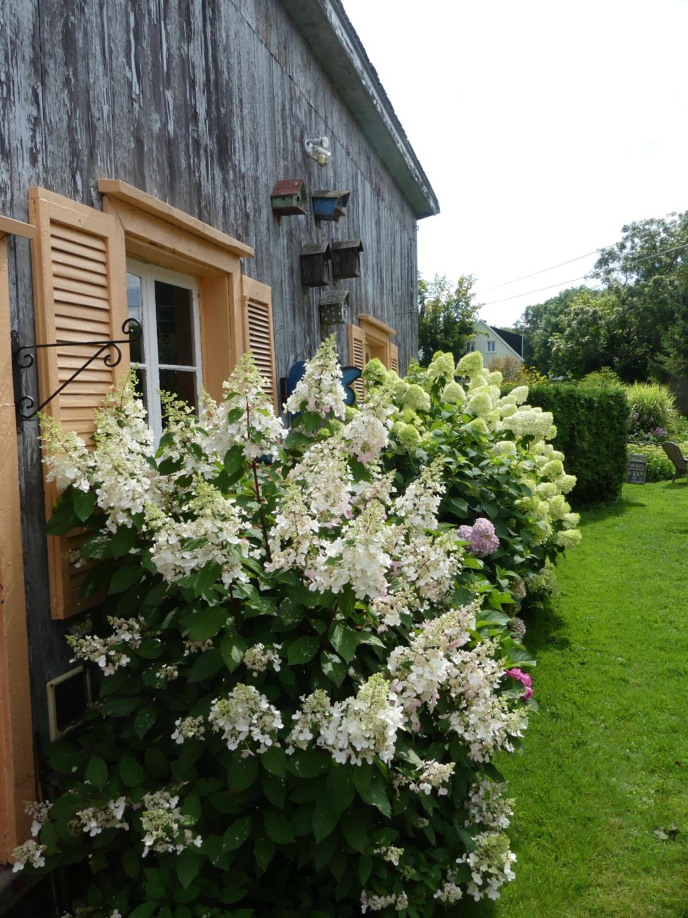 Gîte du Village - Deschambault
