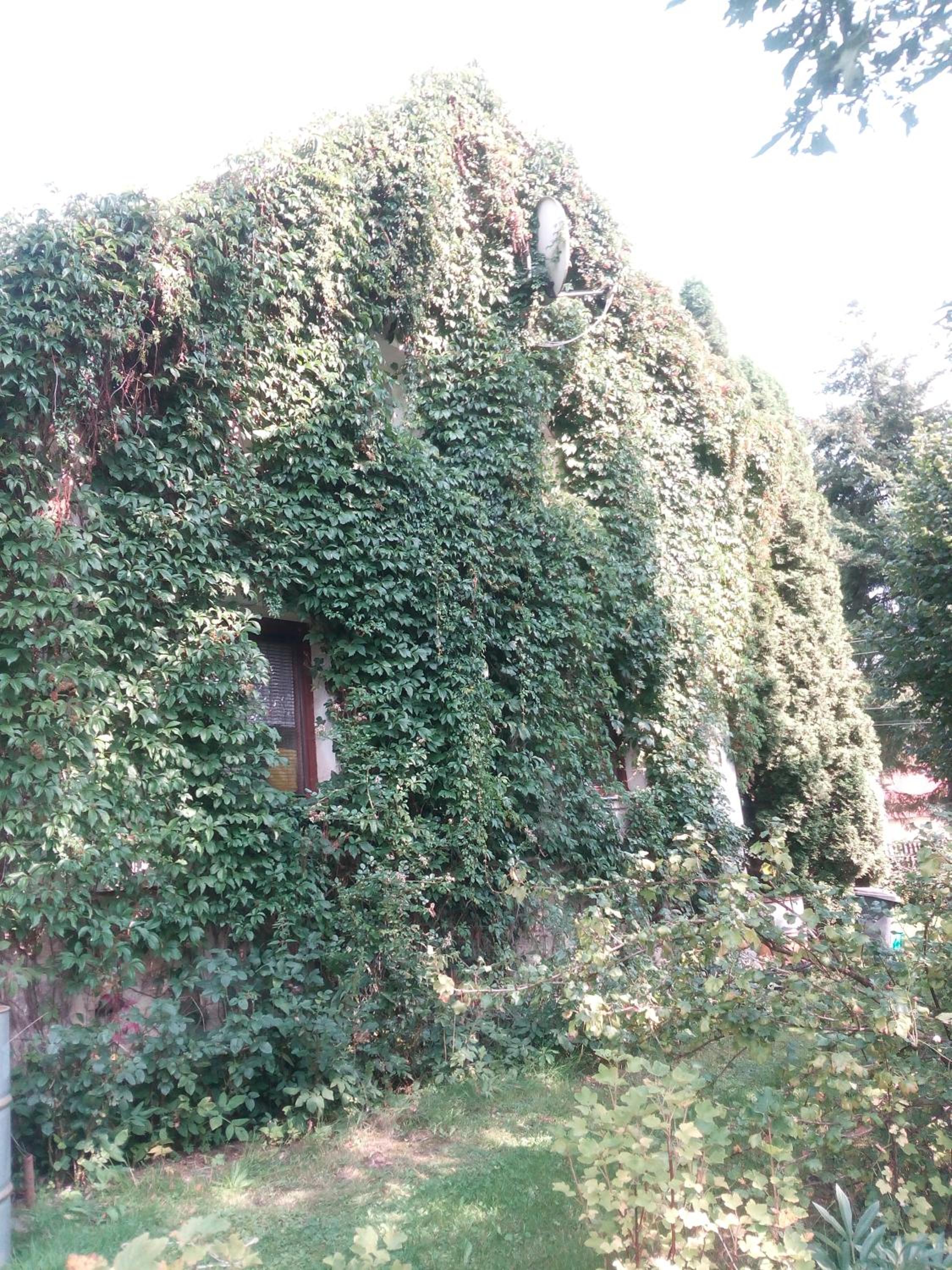 Pension Jana Tatrovice