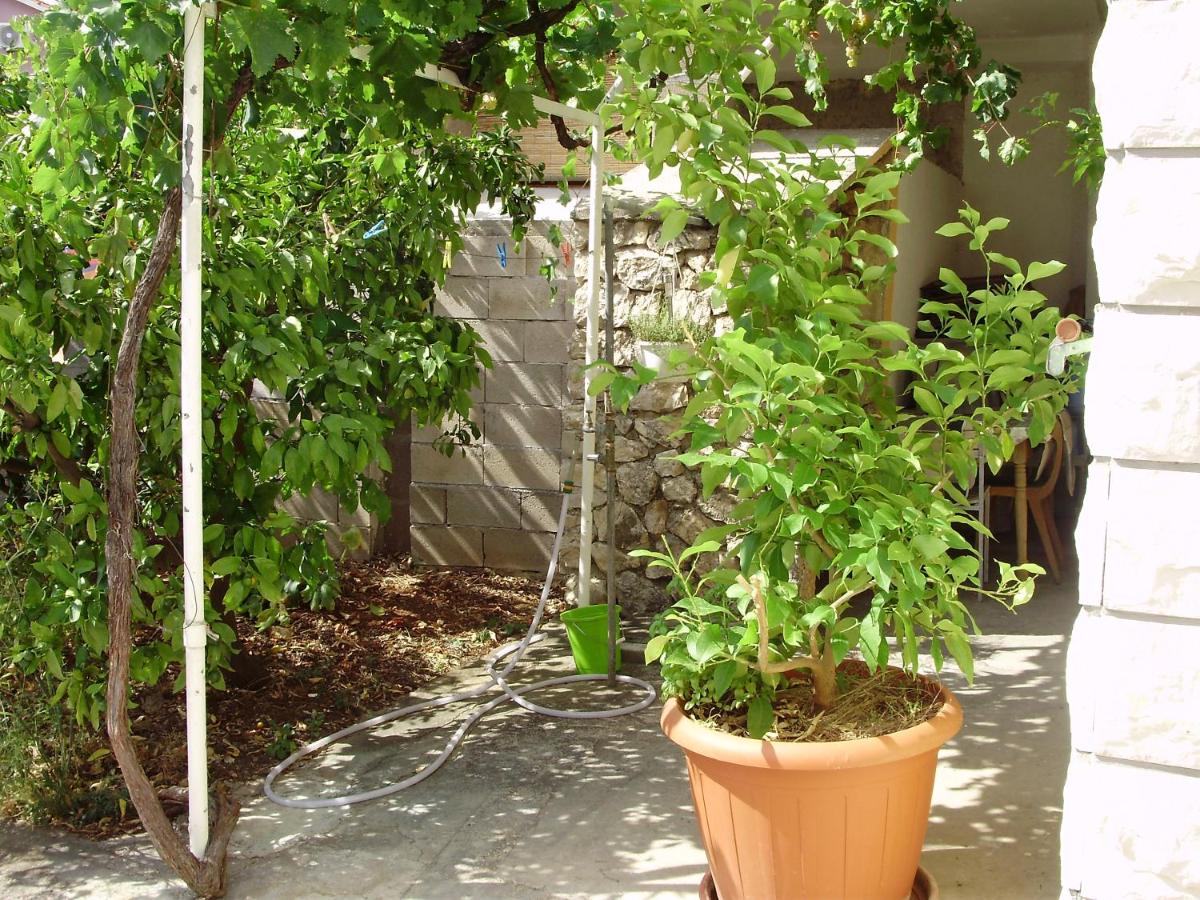 Photo 33