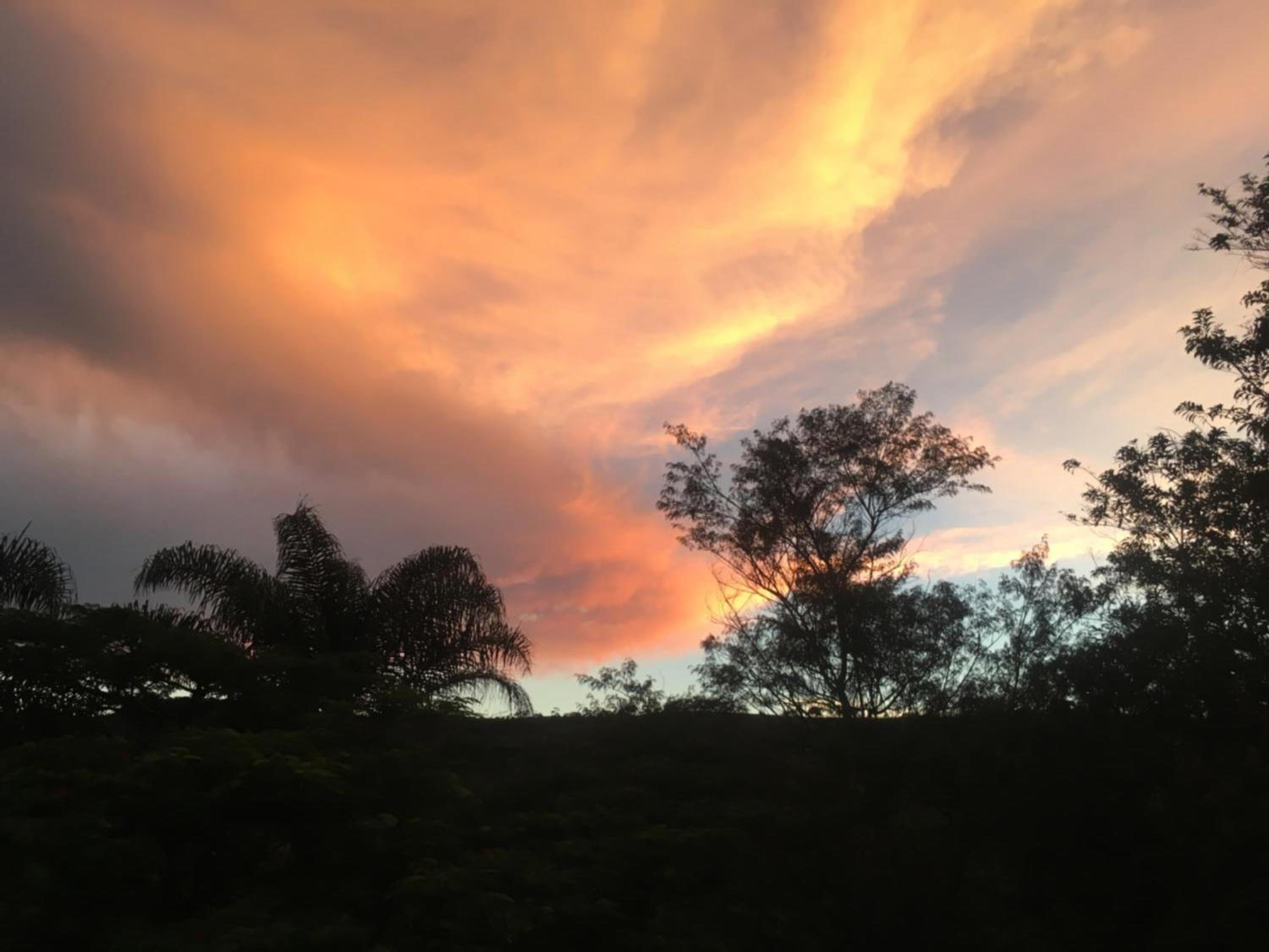 Photo 56