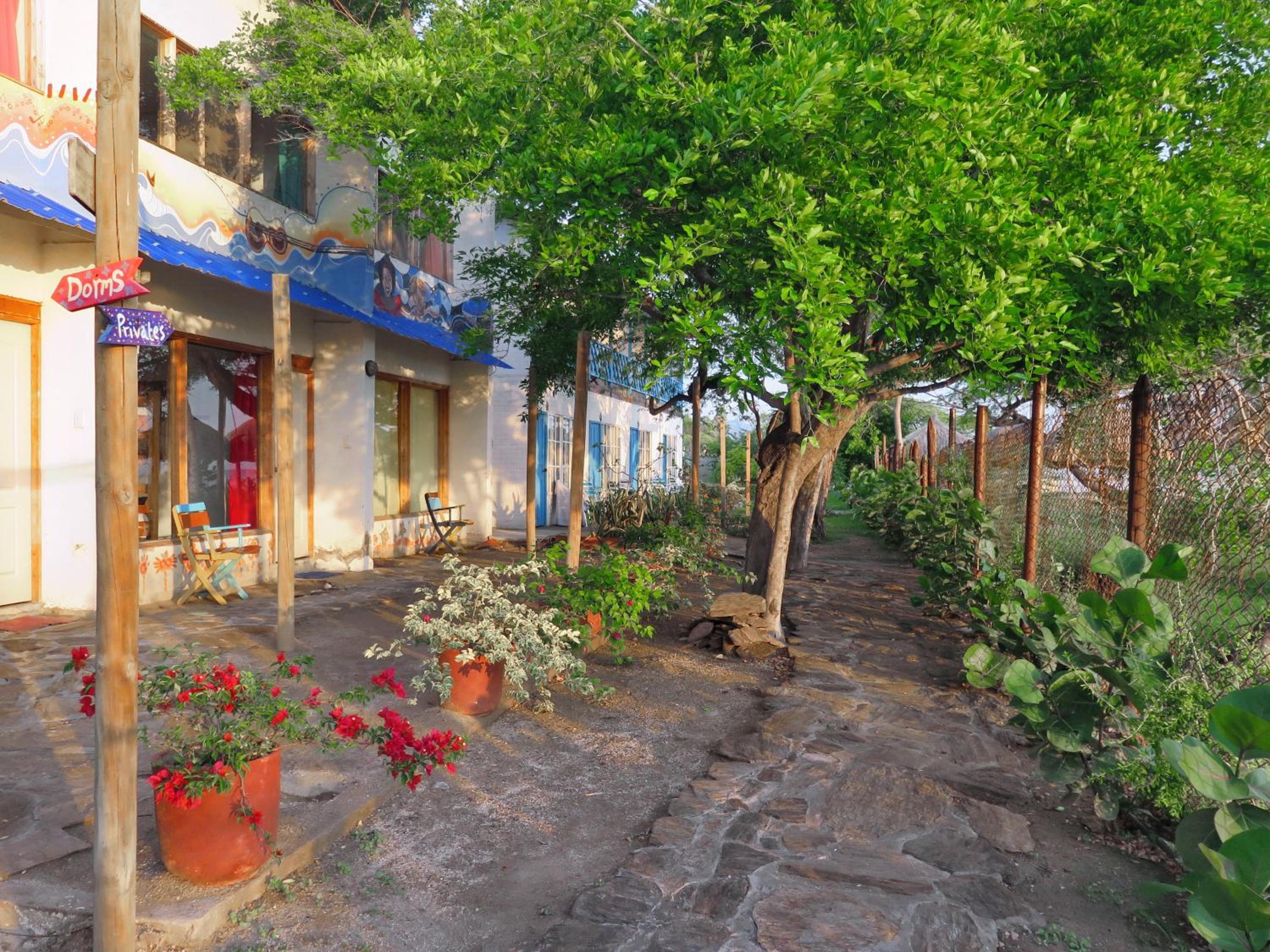 Playa del Ritmo Beach Hostel & Bar - Adults Only