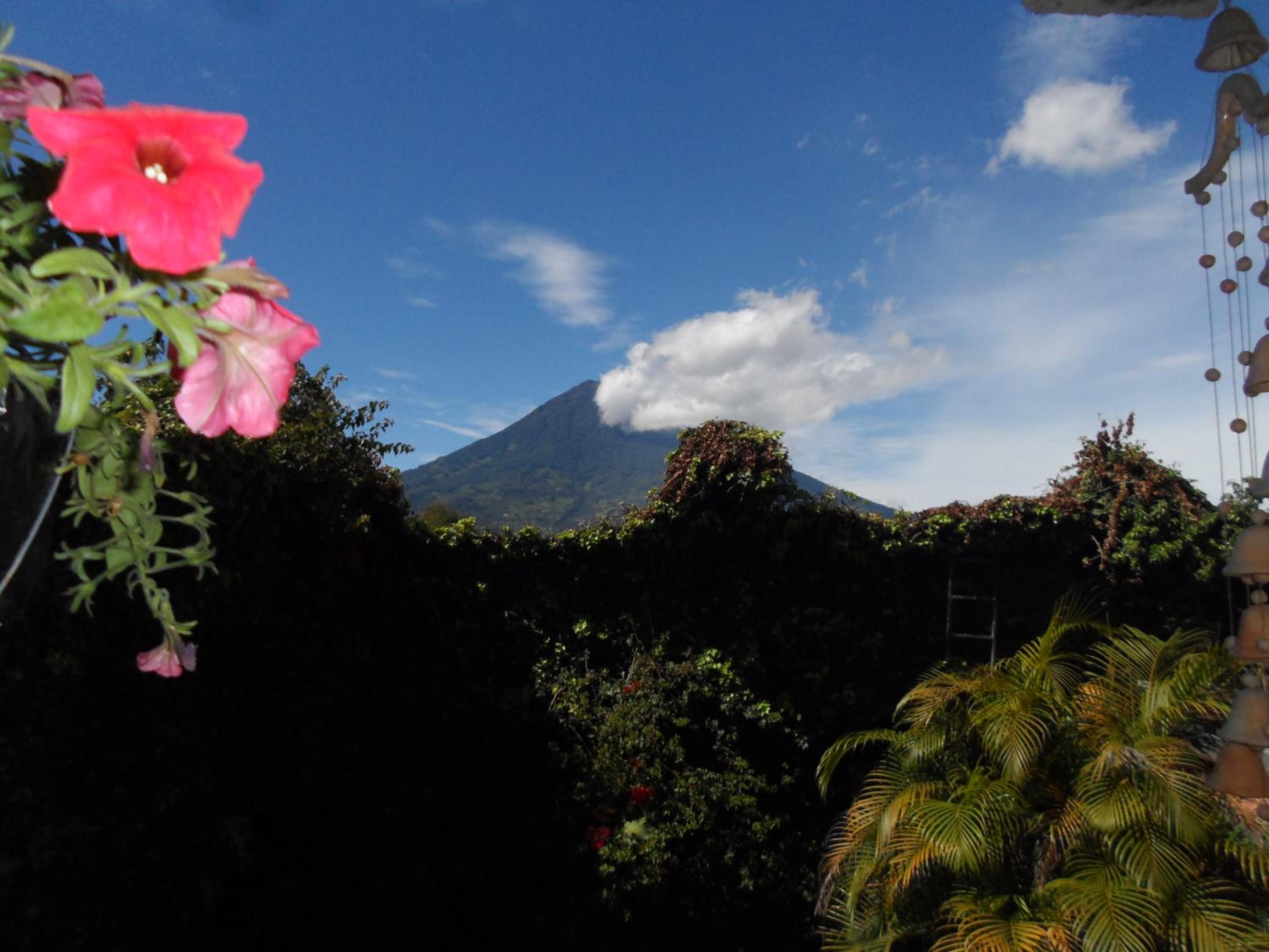 Casa Landivar Hotel view 5