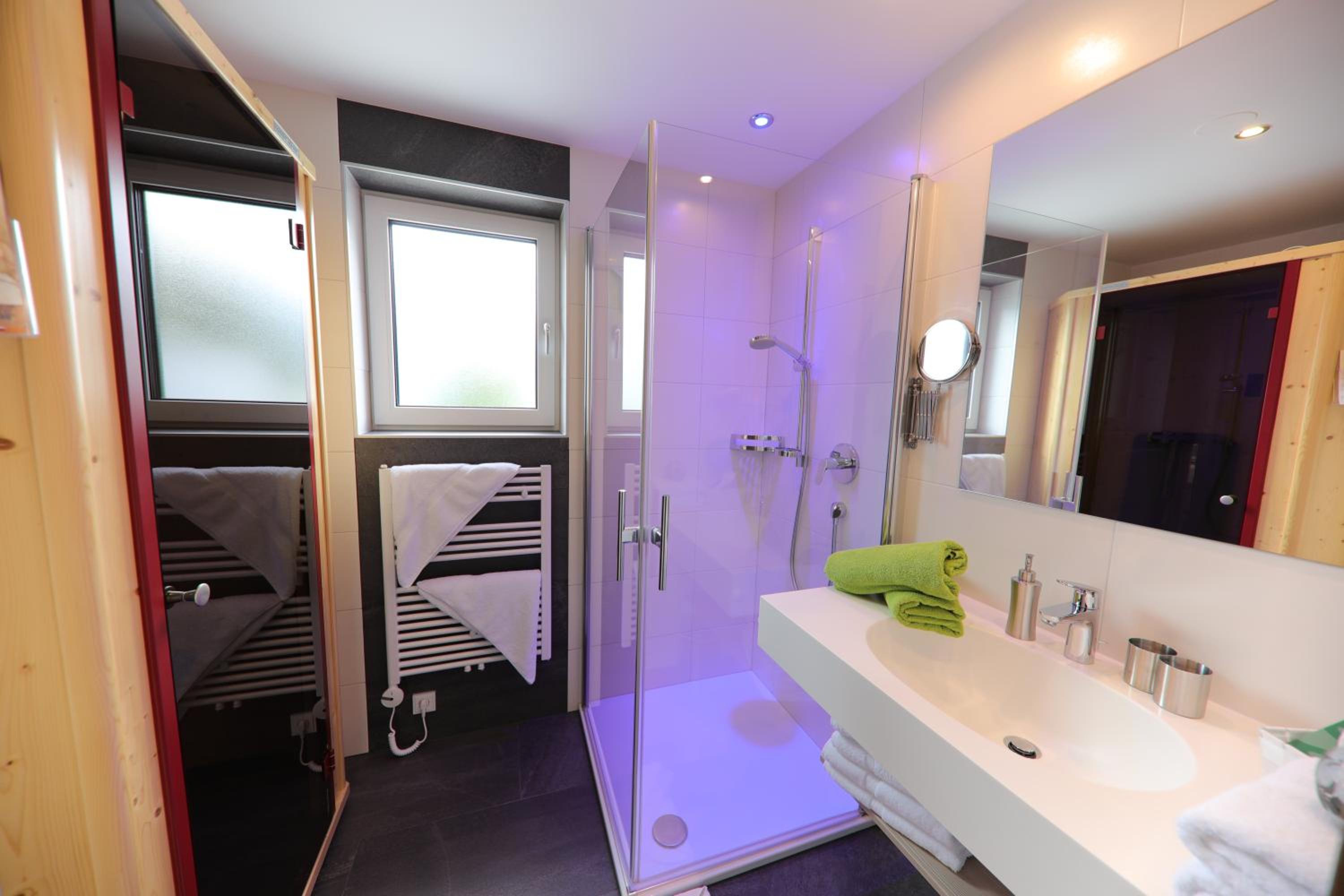 Apart Alpinea view 3