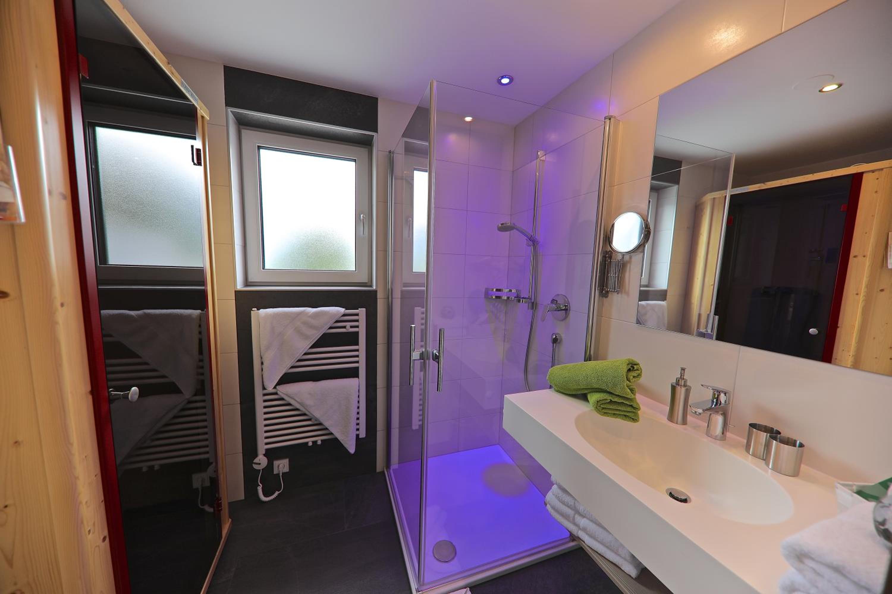Apart Alpinea view 4