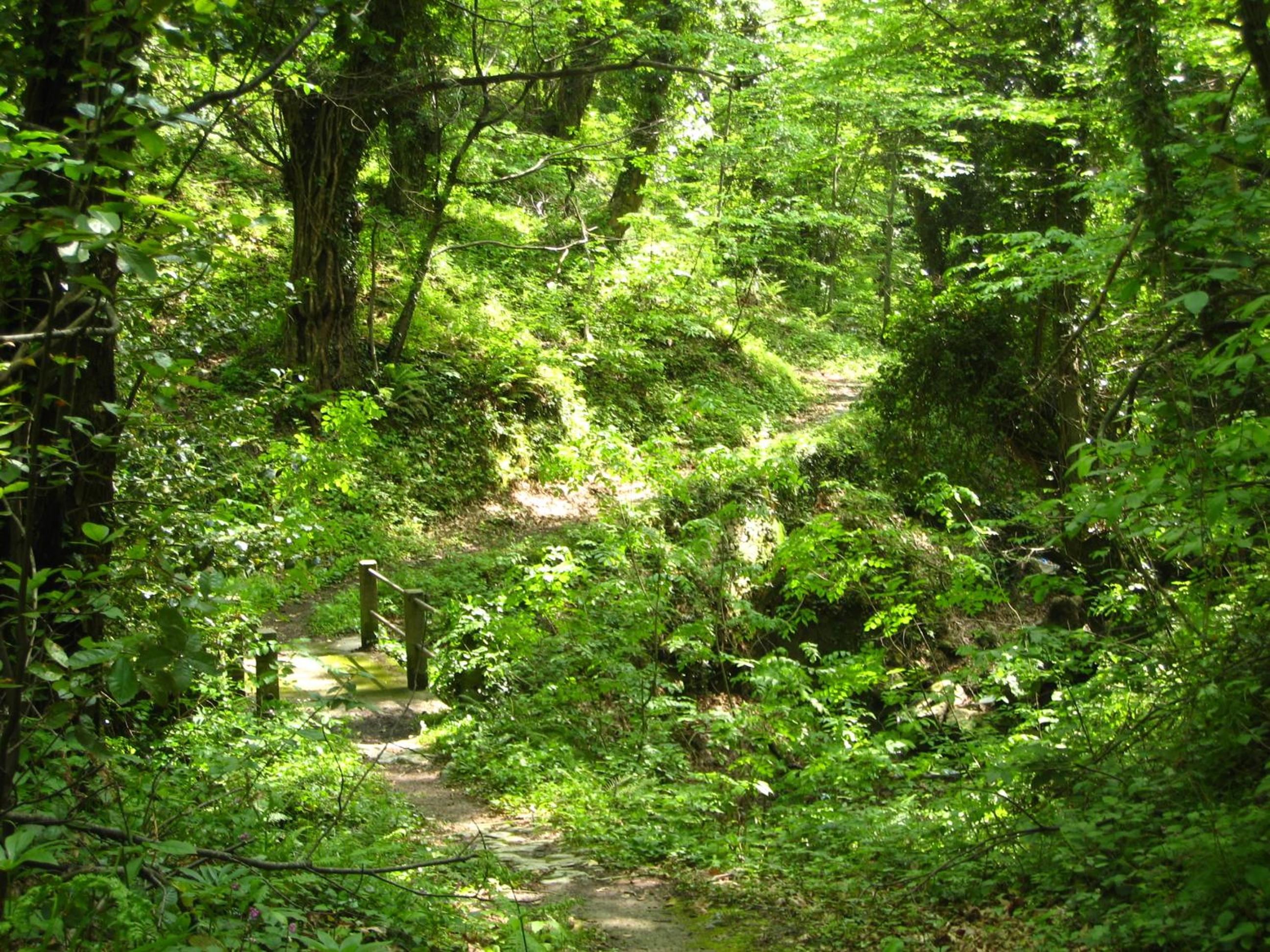 Photo 40