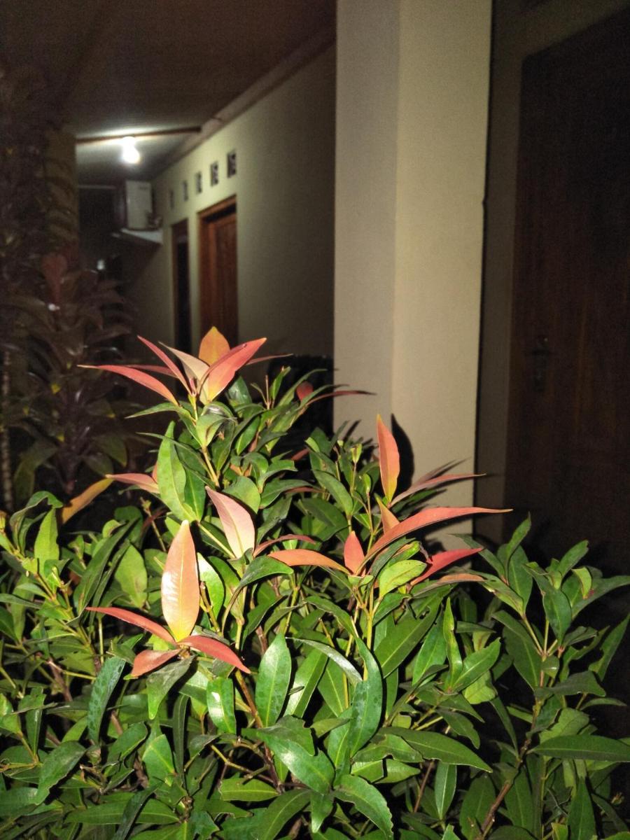 Photo 34