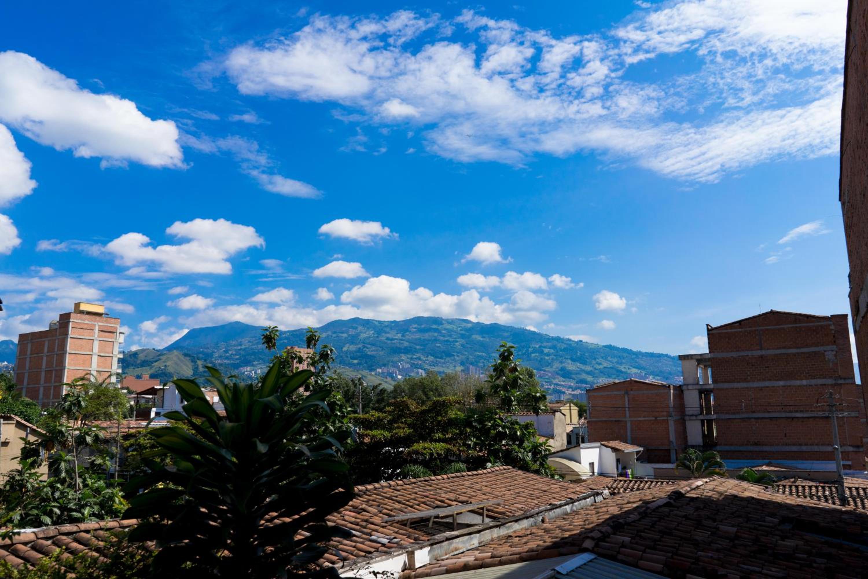Oasis en el corazón de Medellin, Laureles