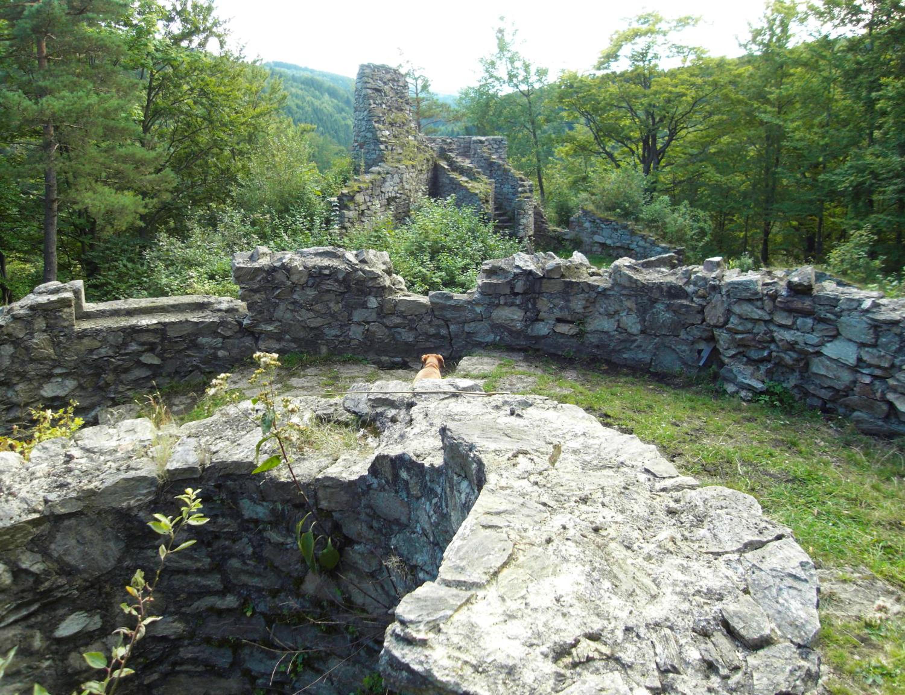 Photo 26